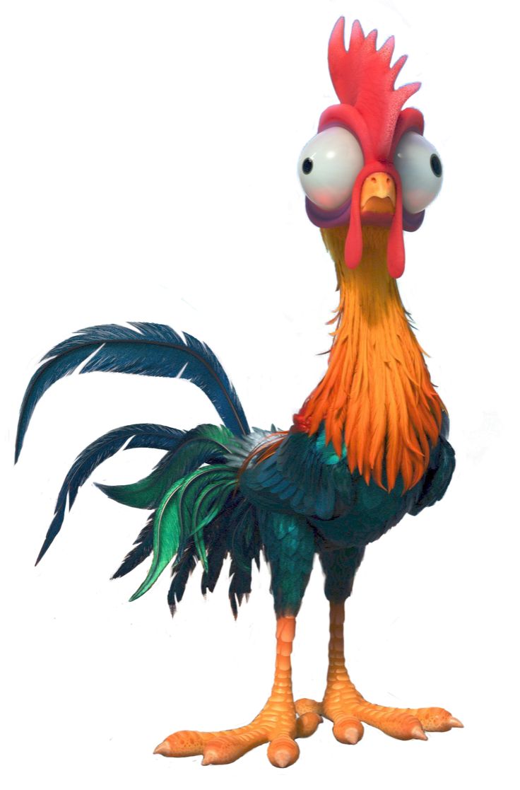 Heihei. Hey hey moana, Moana, Disney moana