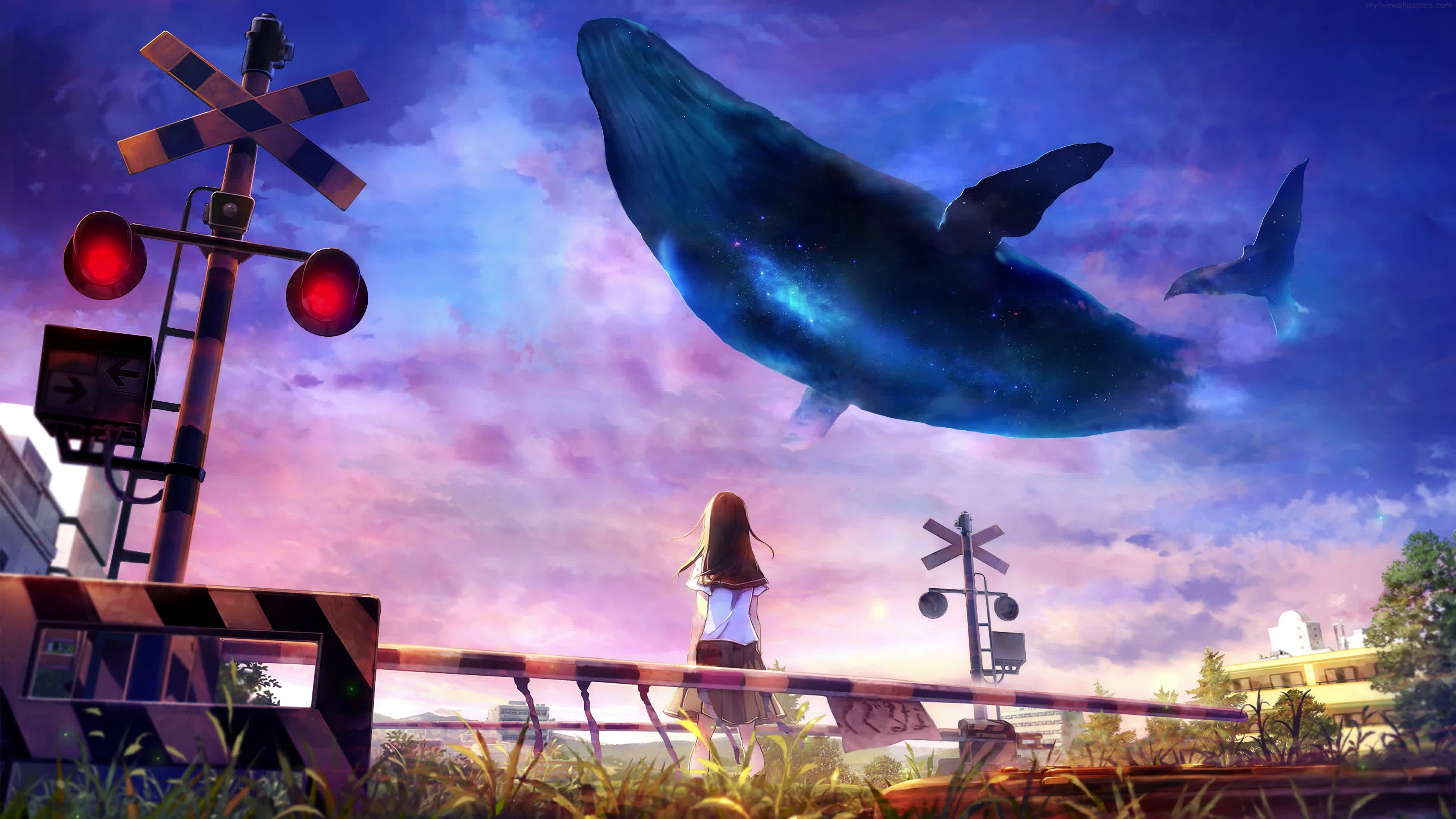Sky Whale Near Train Tracks and Girl 4K Live Wallpaper