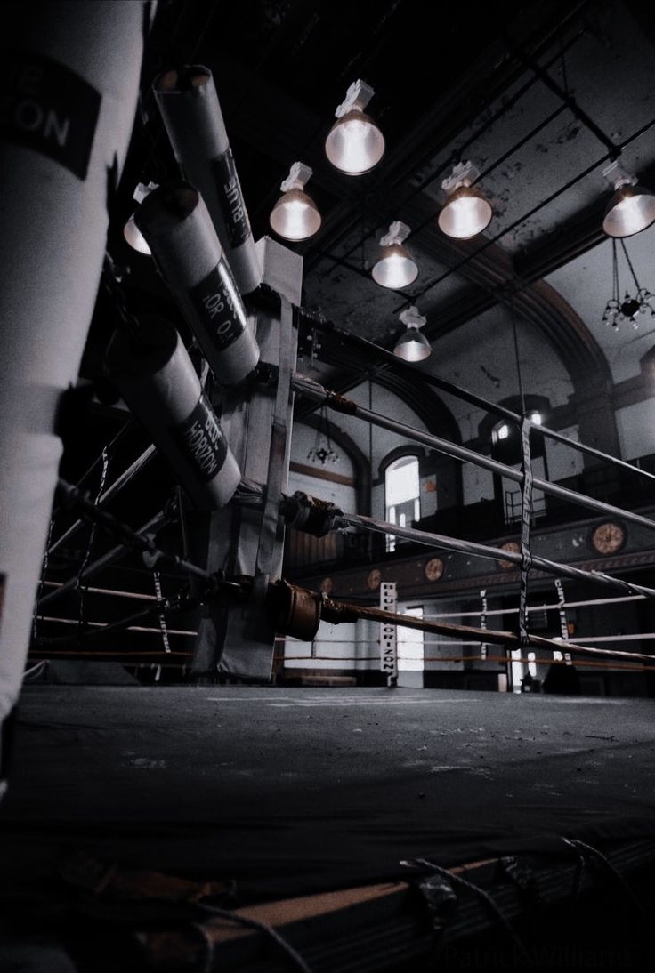 lit. the camorra chronicles. Boxer aesthetic, Gym wallpaper, Fight