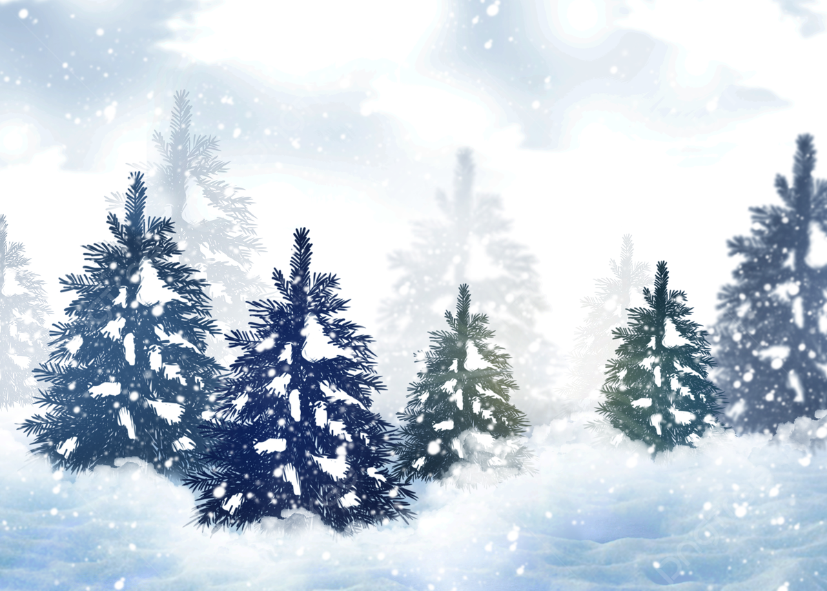 Winter Forest Snow Background Snow Pine Trees, Pc Wallpaper, Wallpaper, Snow Drift Background Image And Wallpaper for Free Download