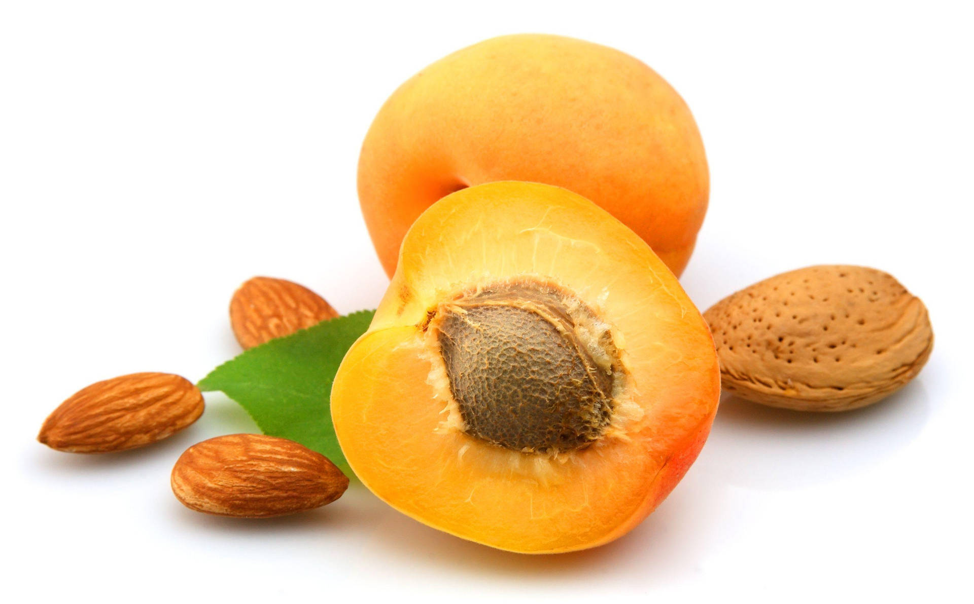 Apricot Wallpaper