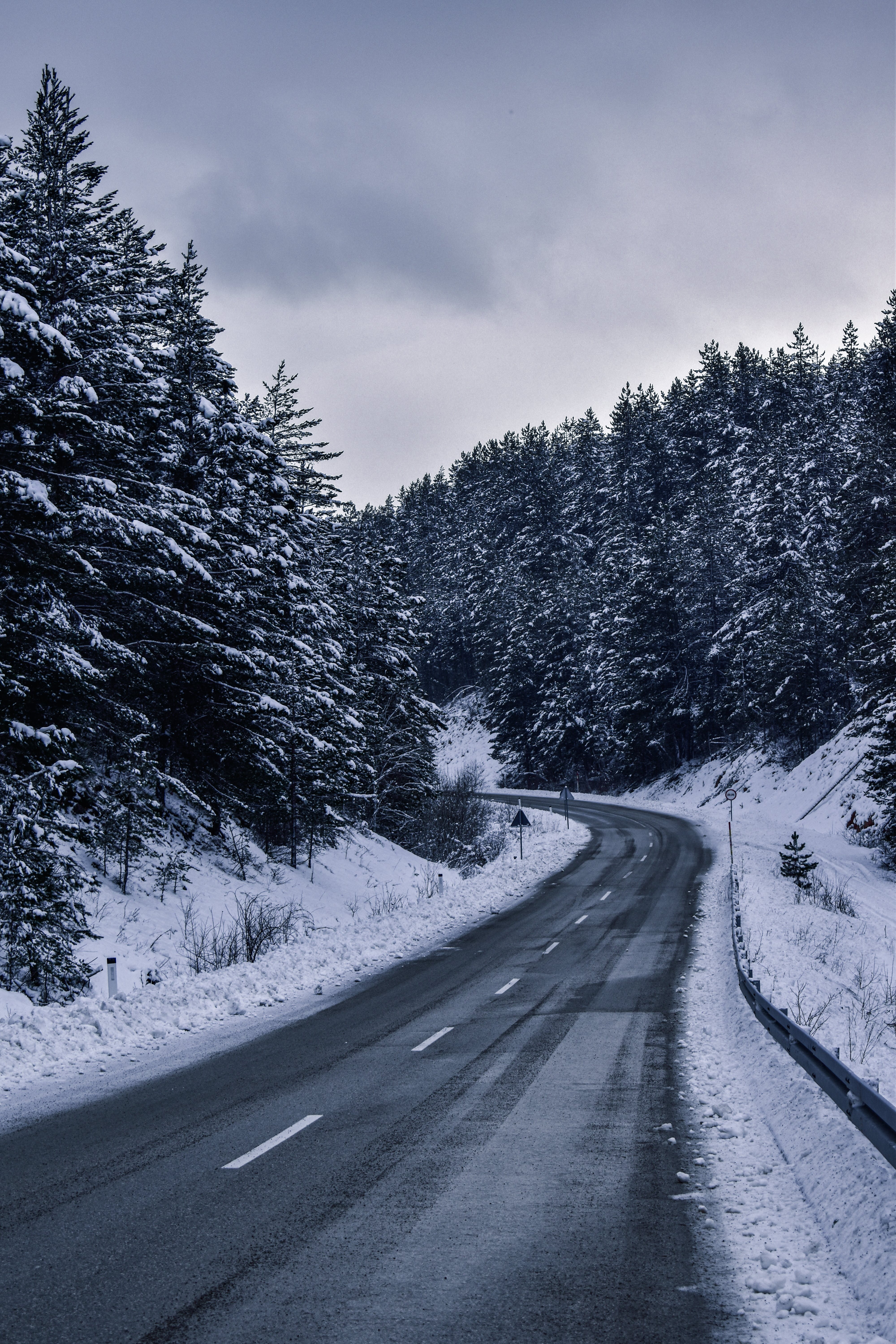 Snow on the Trees and Road During Winter · Free