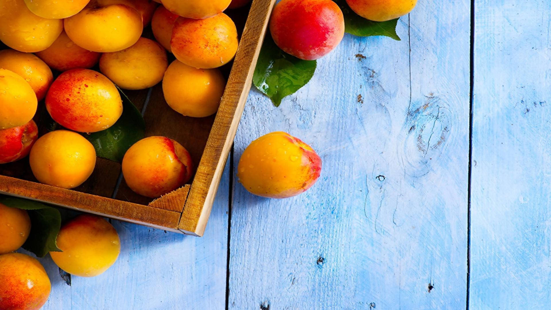 Download Freshly Harvested Ripe Apricots in a Box Wallpaper