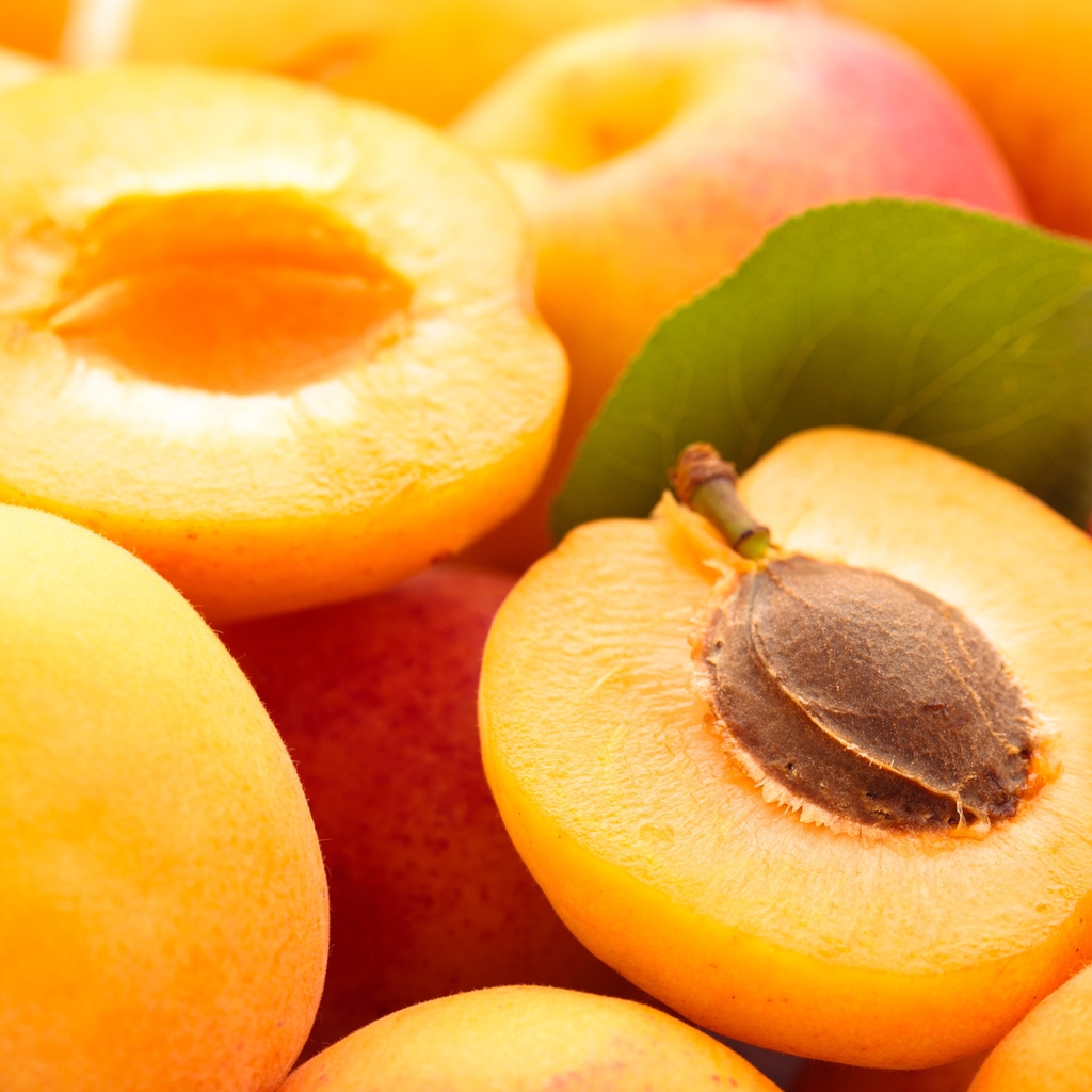 Apricots 1024 x 1024 iPad Wallpaper