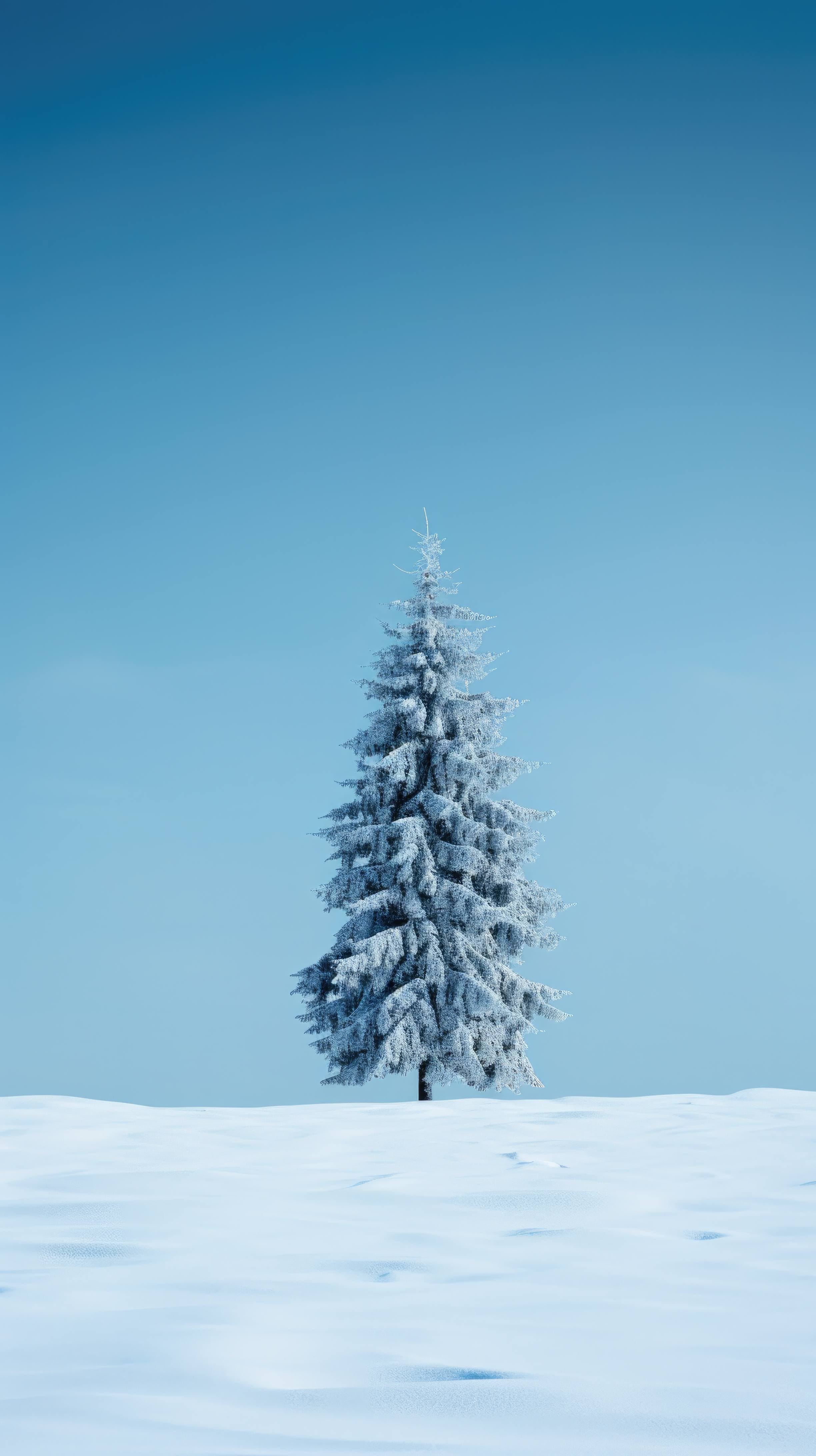 Free AI art image of snowy pine tree