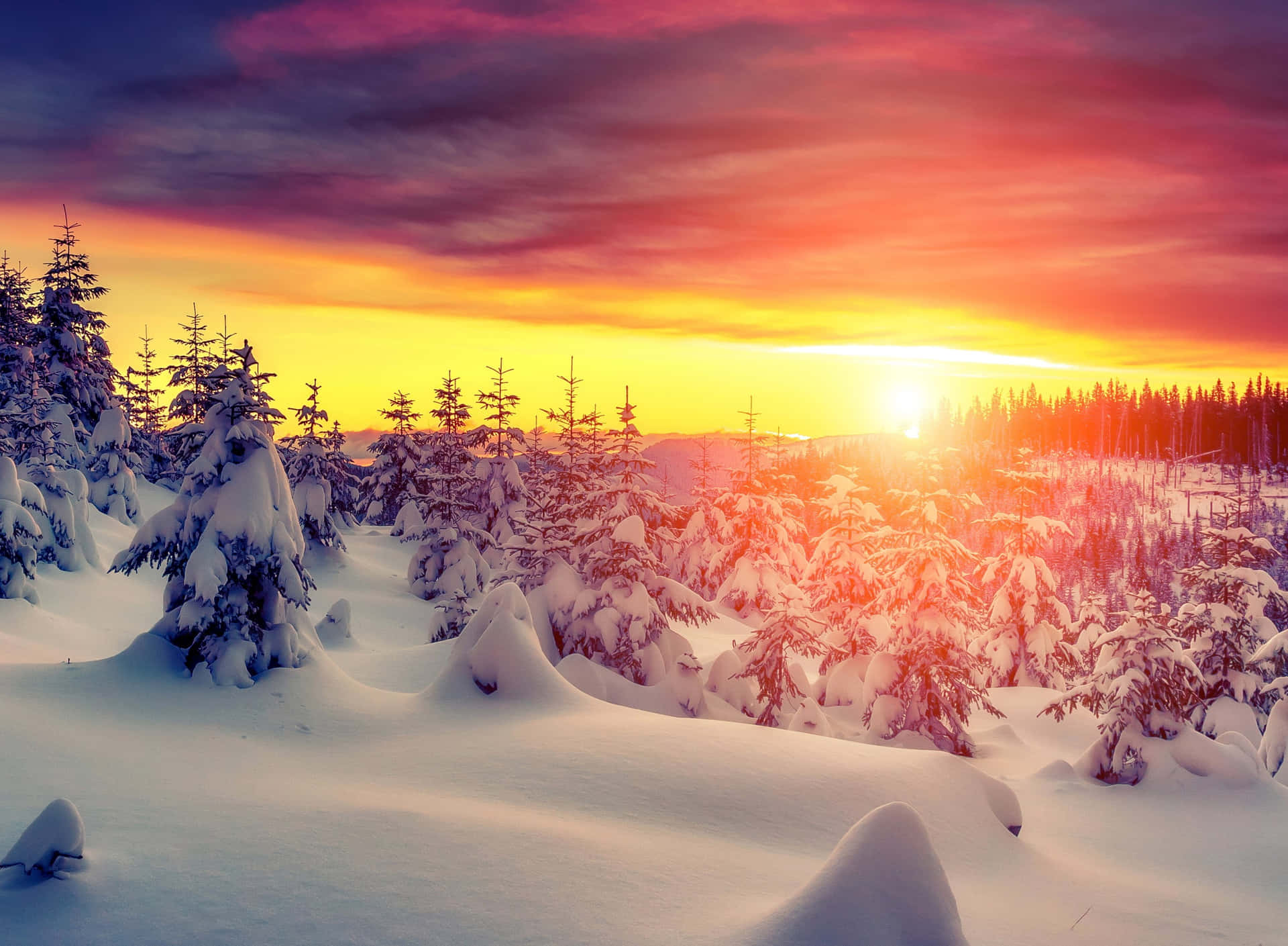 Winter Sunshine Wallpapers - Wallpaper Cave