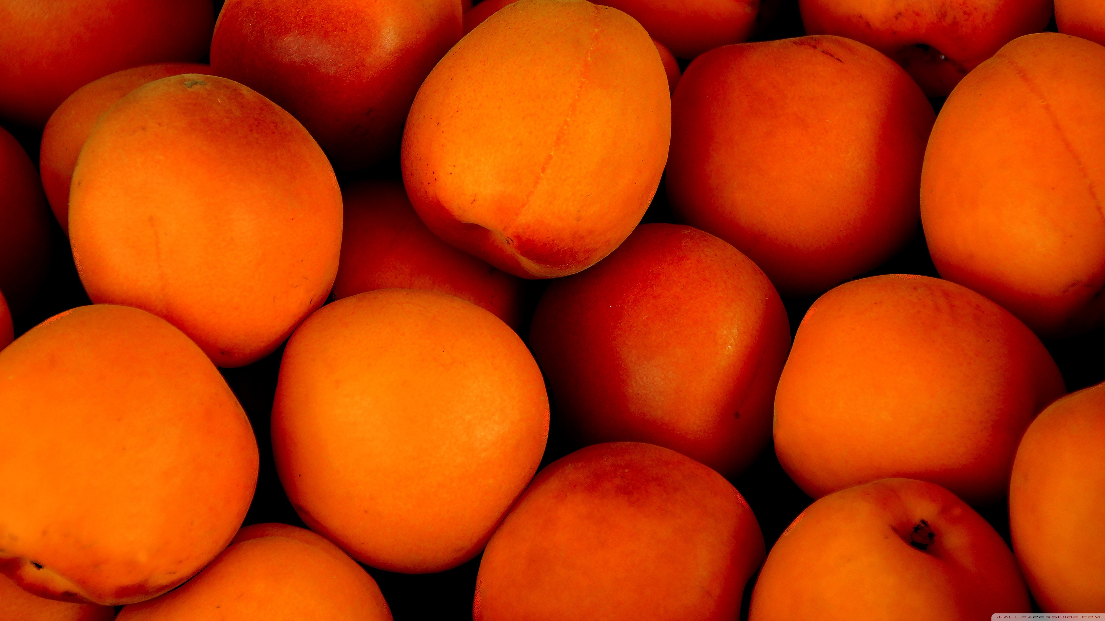 Apricots Fruit Ripe Ultra HD Desktop Background Wallpaper for: Widescreen & UltraWide Desktop & Laptop, Multi Display, Dual Monitor, Tablet