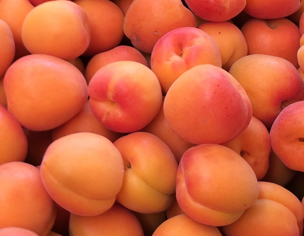 Frozen Apricots