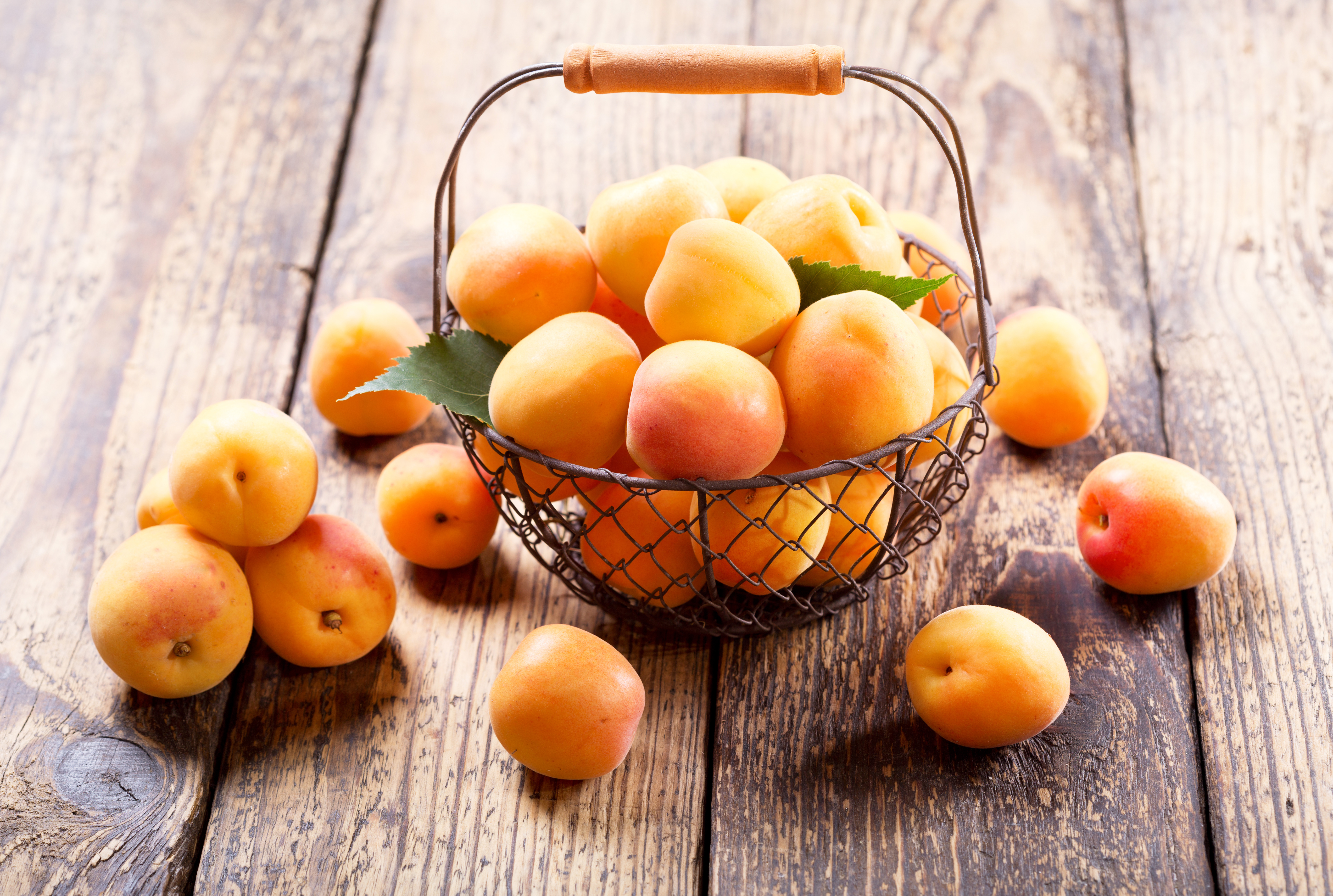 HD desktop wallpaper: Food, Still Life, Fruit, Apricot download free picture