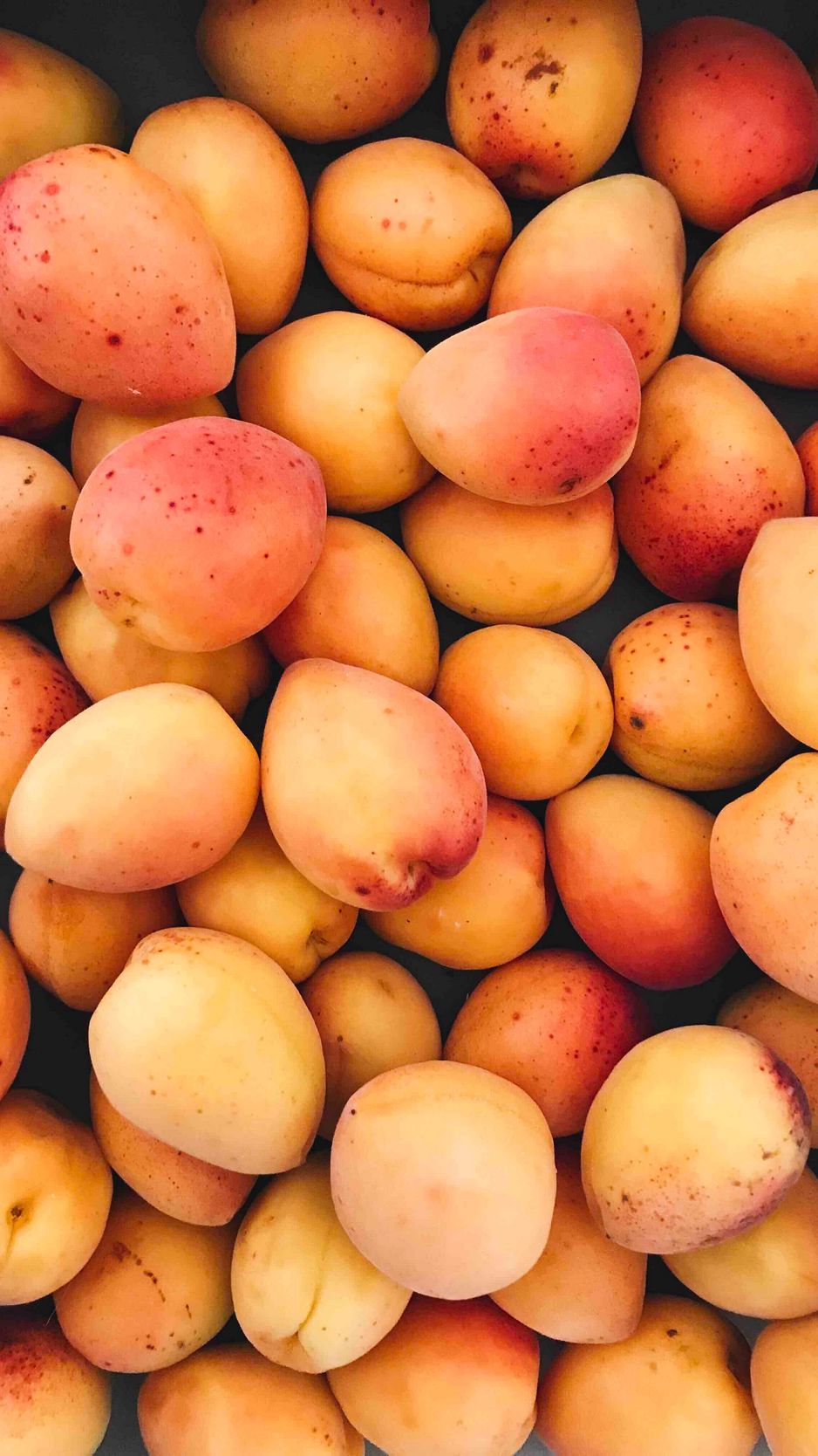 Download Wallpaper 938x1668 Apricots, Fruit, Ripe, Harvest Iphone 8 7 6s 6 For Parallax HD Background