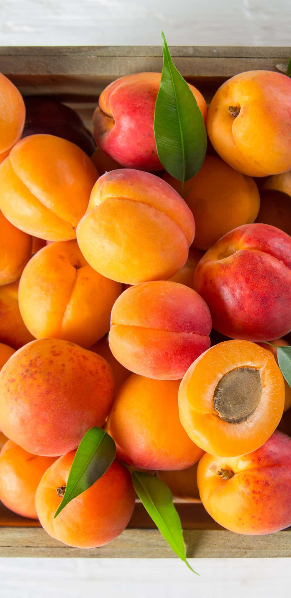 Download Fruit Background With A Box Of Apricots