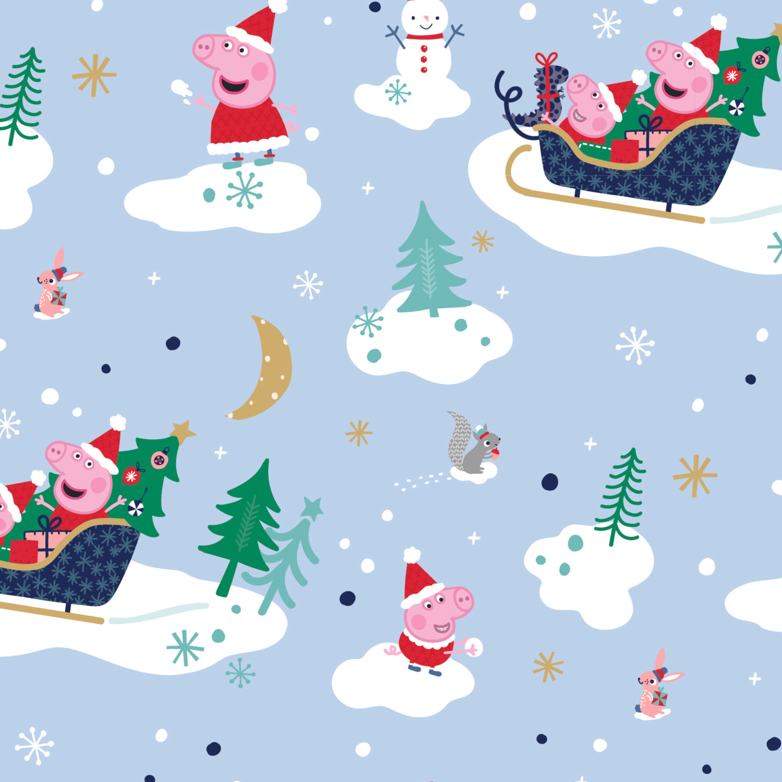 Peppa Pig Christmas Wrapping Paper, 4 Sheet 4 Tag Wrapping Sheet for Gift Wrap, Health & Household