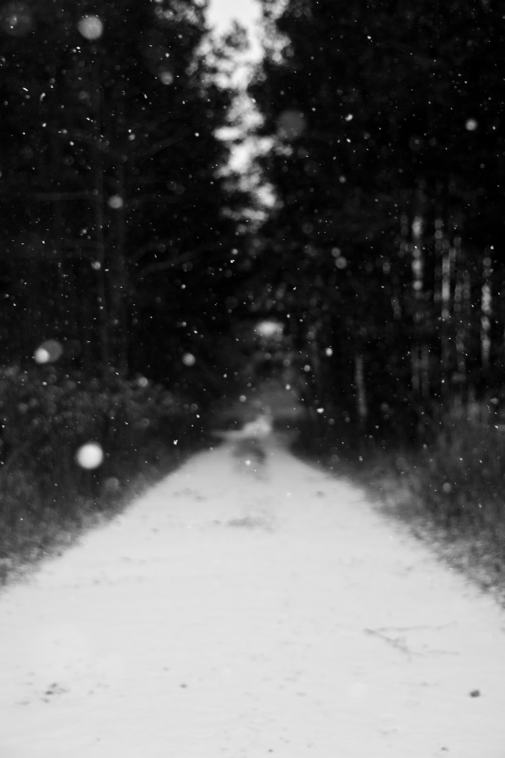 Dark Snow Picture. Download Free Image