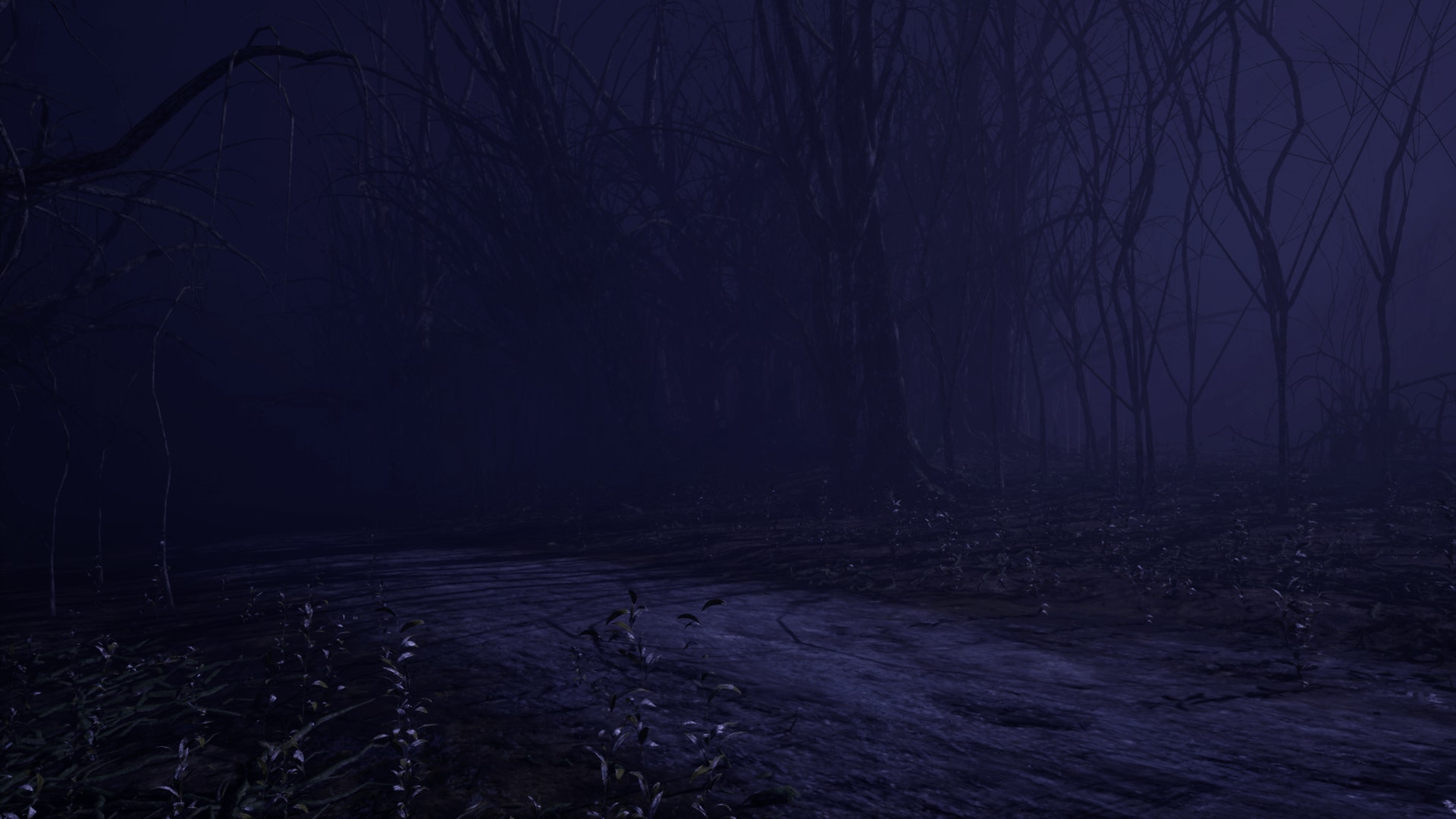 Dark Forest in Environments
