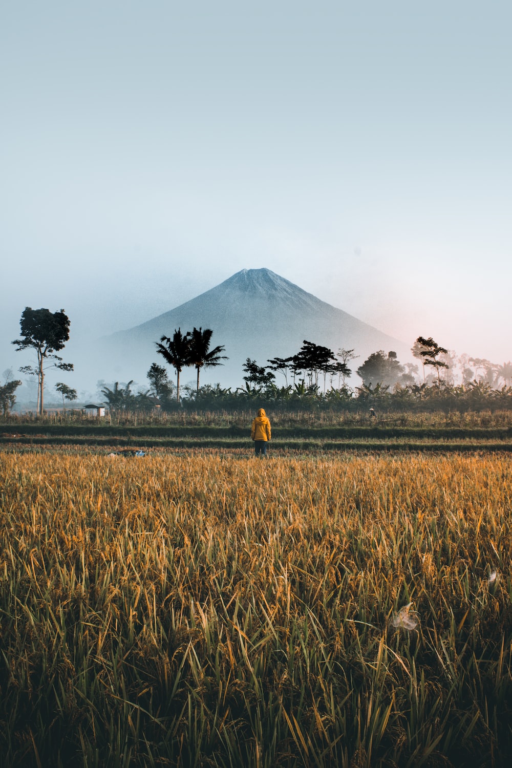 Person standing on green grass field photo