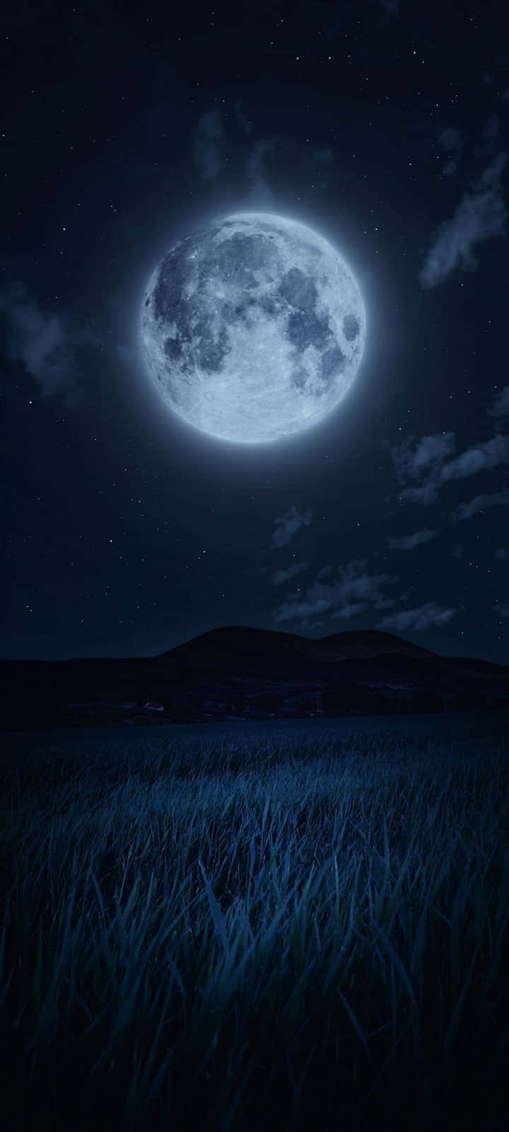 moonlit night. Wallpaper