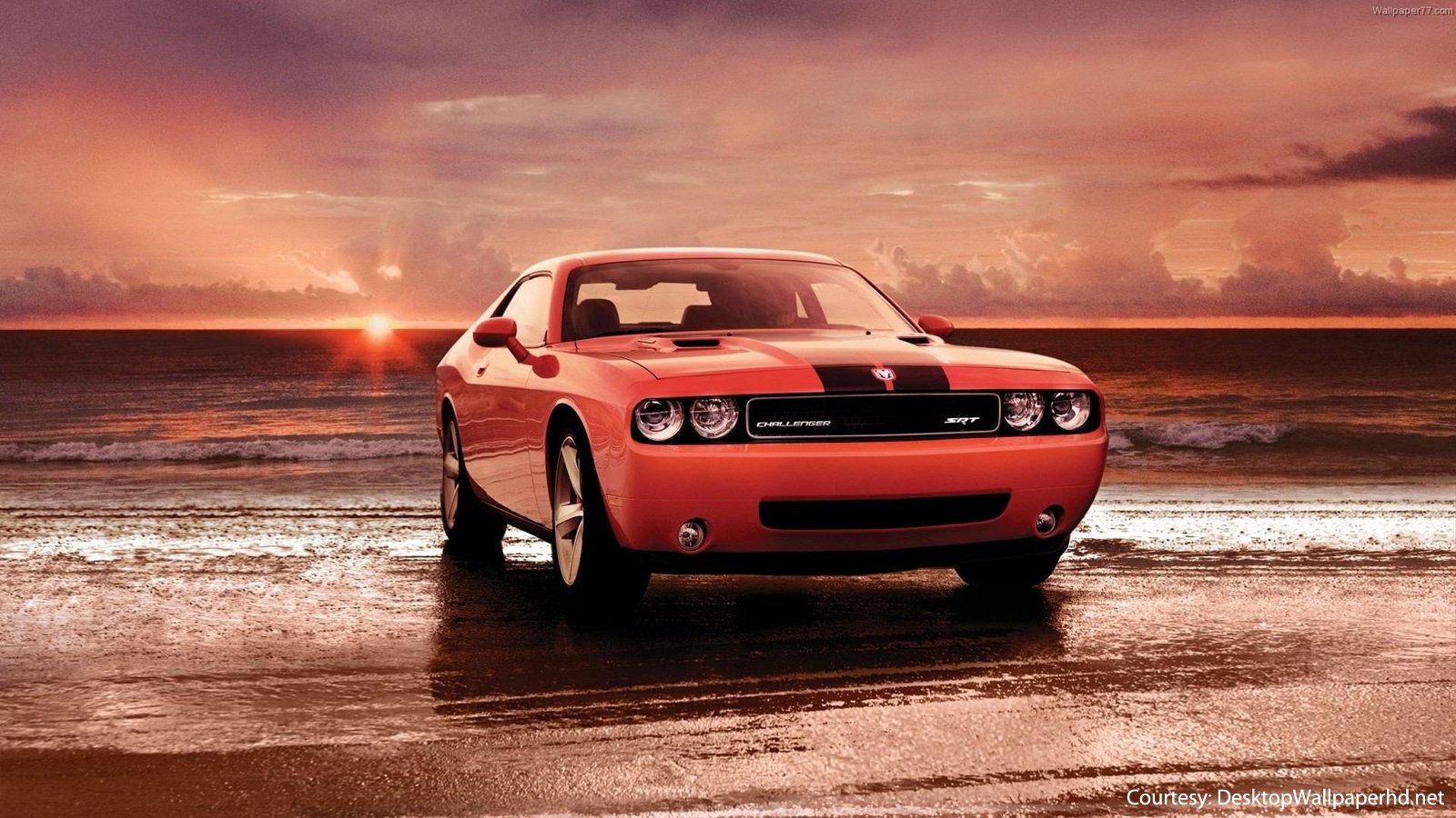 Dodge Challengers Posing with Scenic Background (Photos)