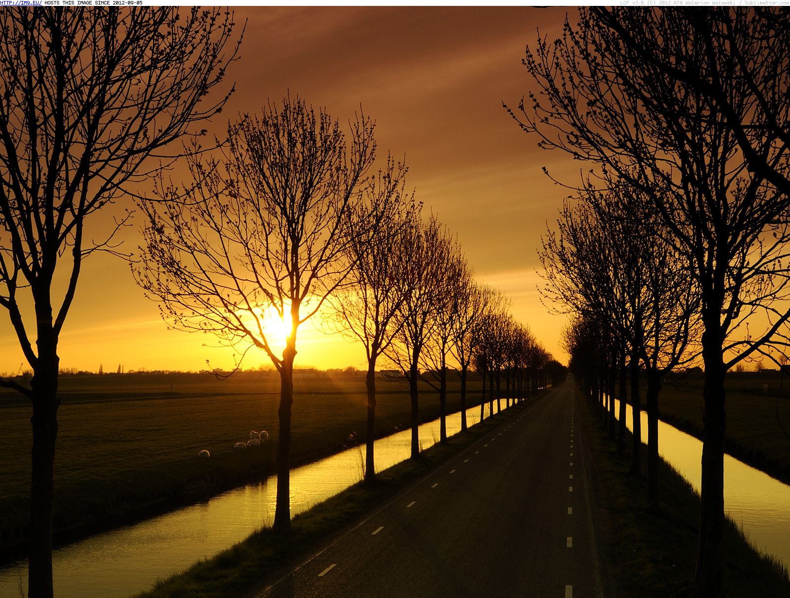 Pic. #Sunset #Drive, 416105B