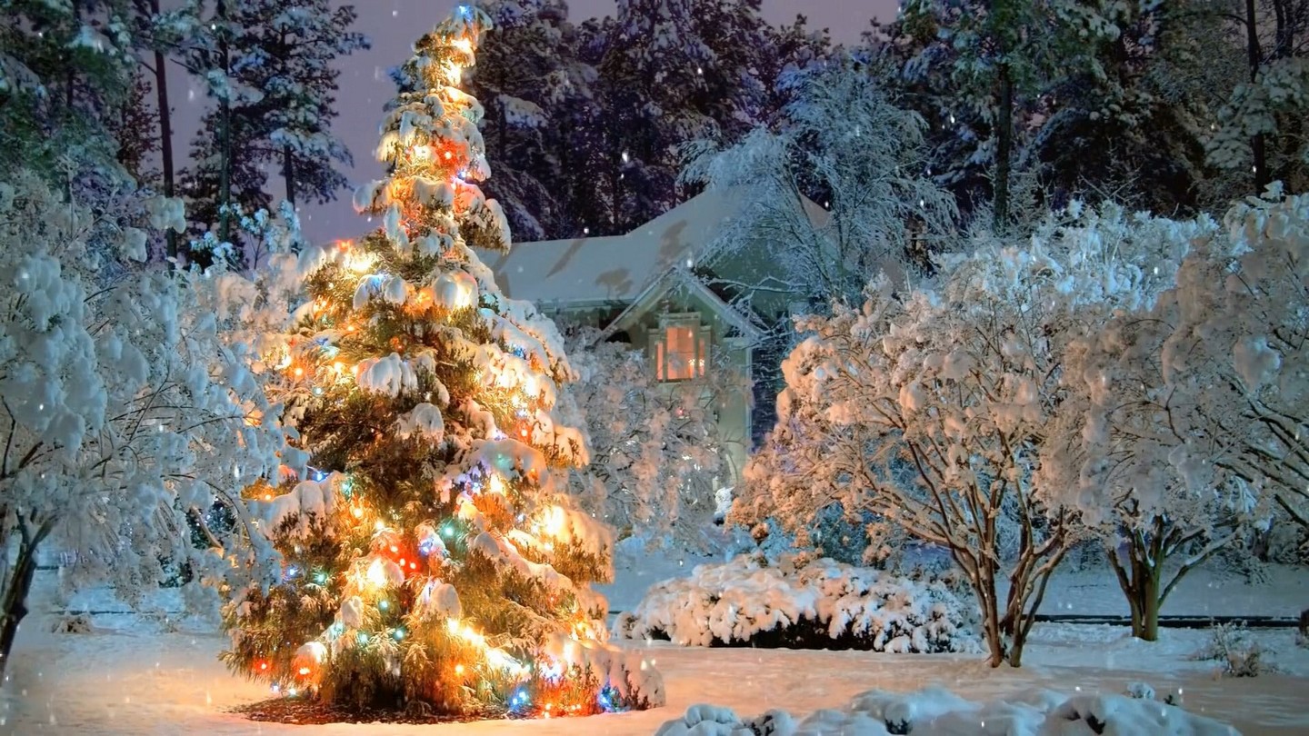 Animated Wallpaper for your Christmas Holiday Desktop! Forum Post