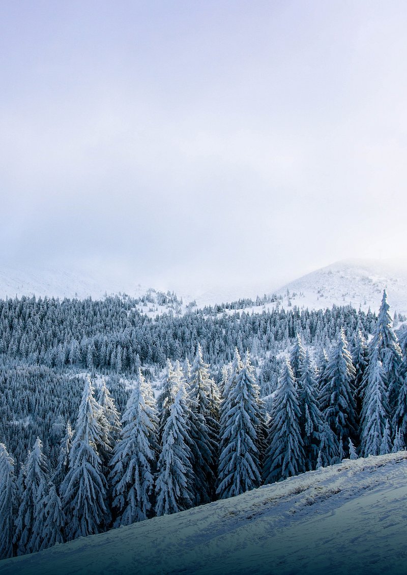 Winter forest border background. Free