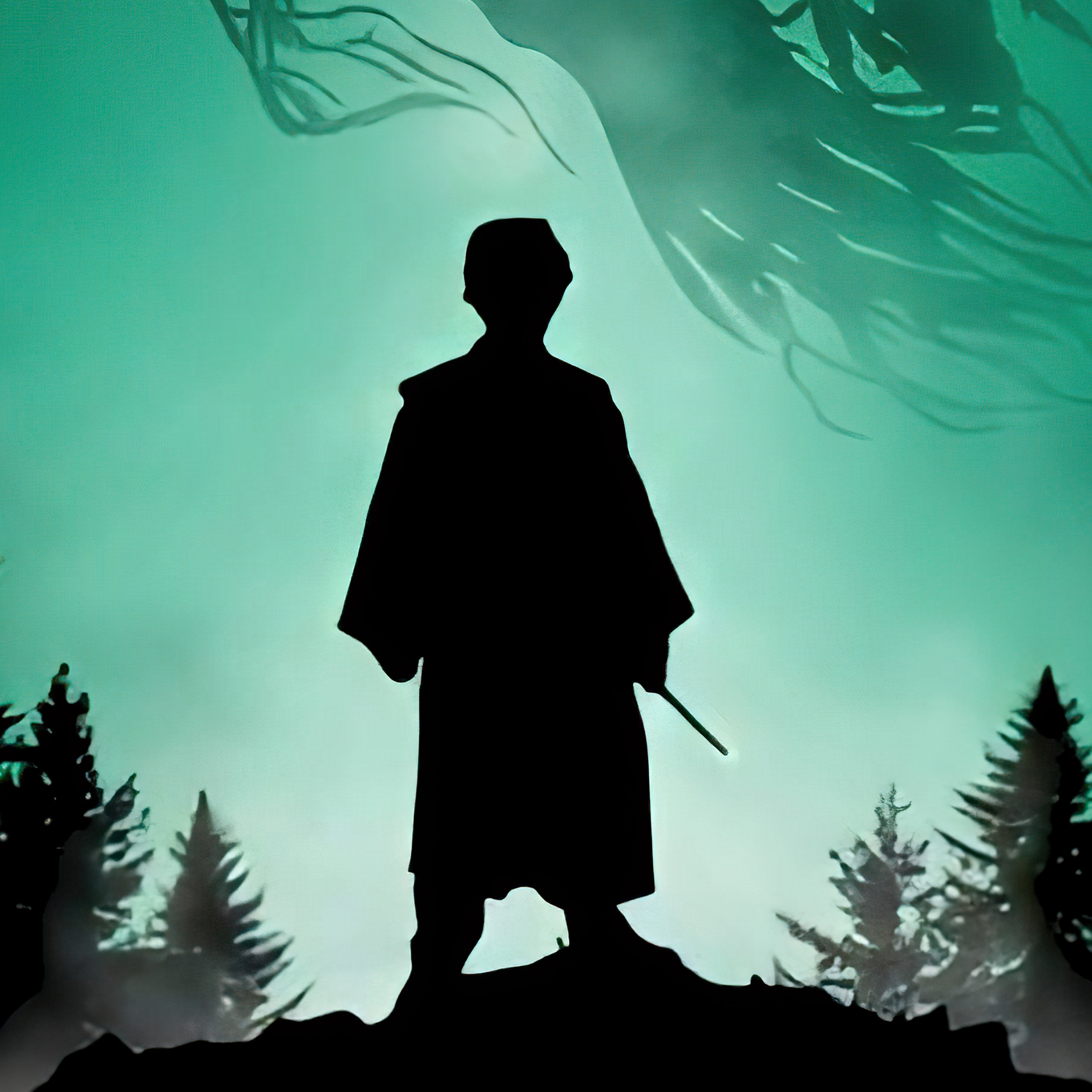 Harry Potter Following The Darkness 4k iPad Pro Retina Display HD 4k Wallpaper, Image, Background, Photo and Picture