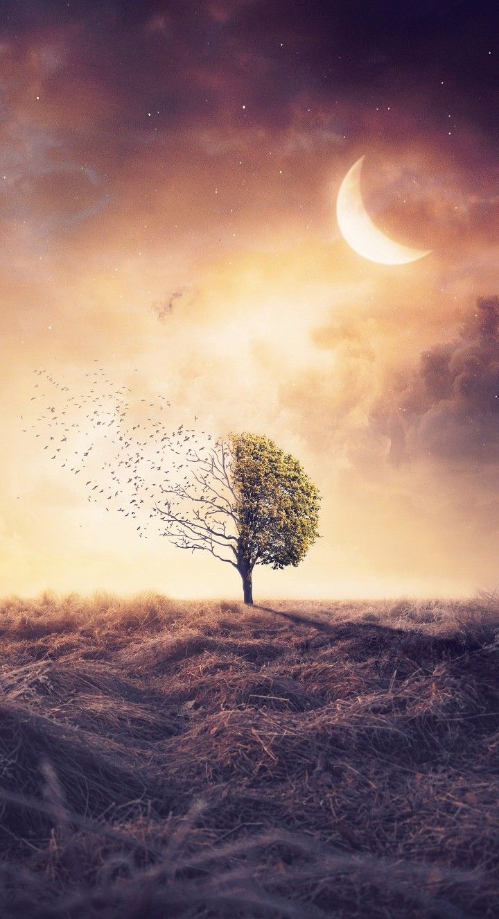 papéis de parede. Nature wallpaper, Nature iphone wallpaper, Scenery wallpaper