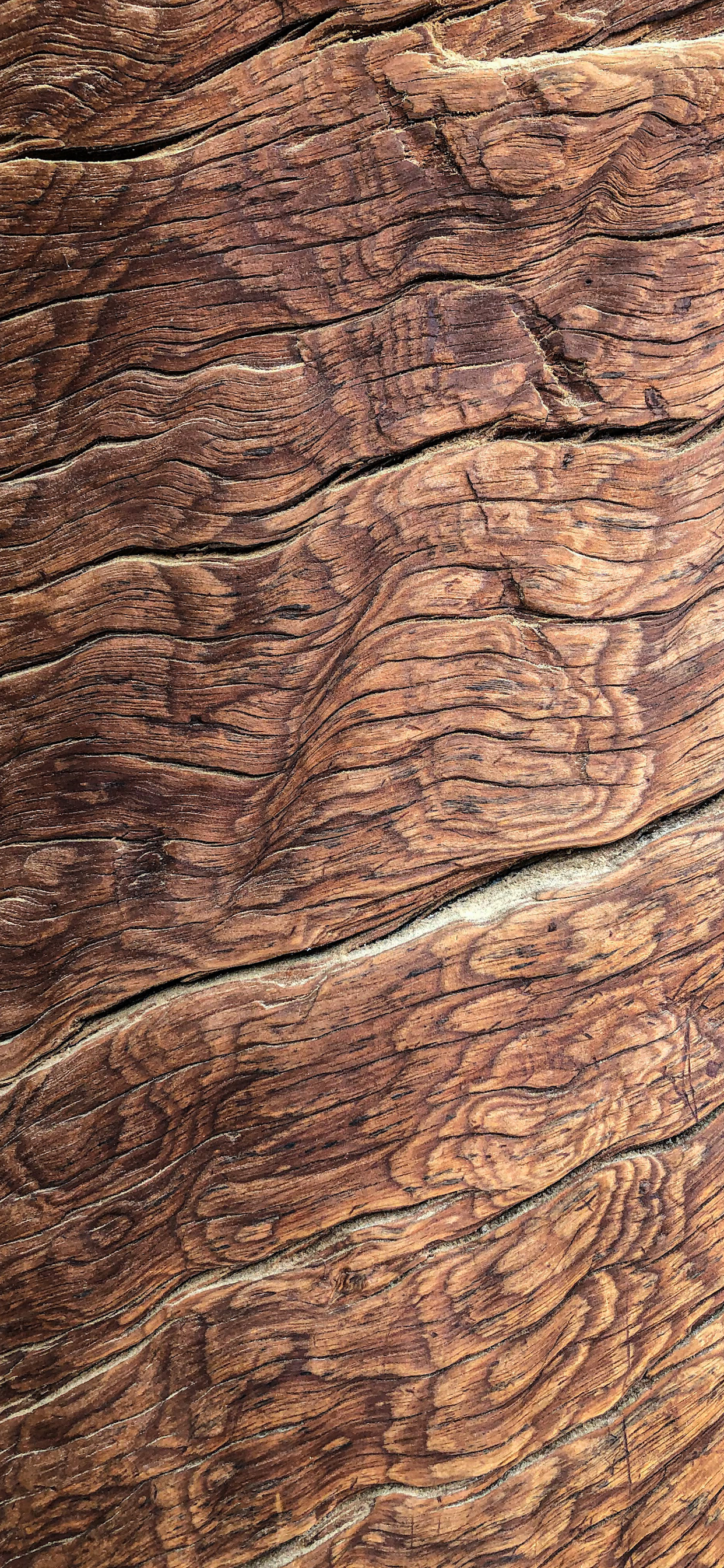 Wood Wallpaper for iPhone 11, Pro Max, X, 8, 7, 6