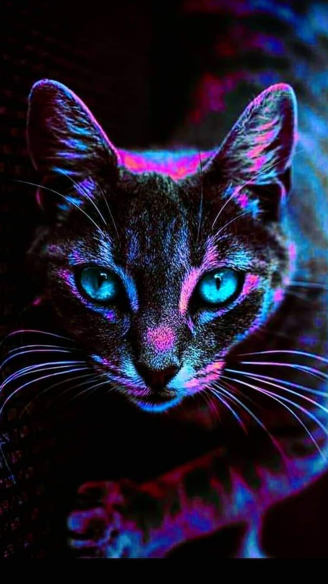 Animals Wallpaper Animals Wallpaper Download