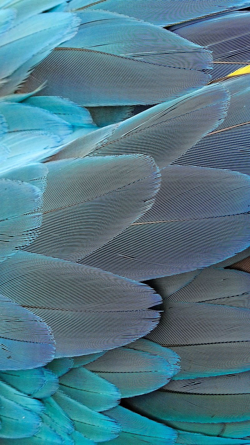 Texture iPhone Wallpaper. Download High Resolution Mobile Phone Background