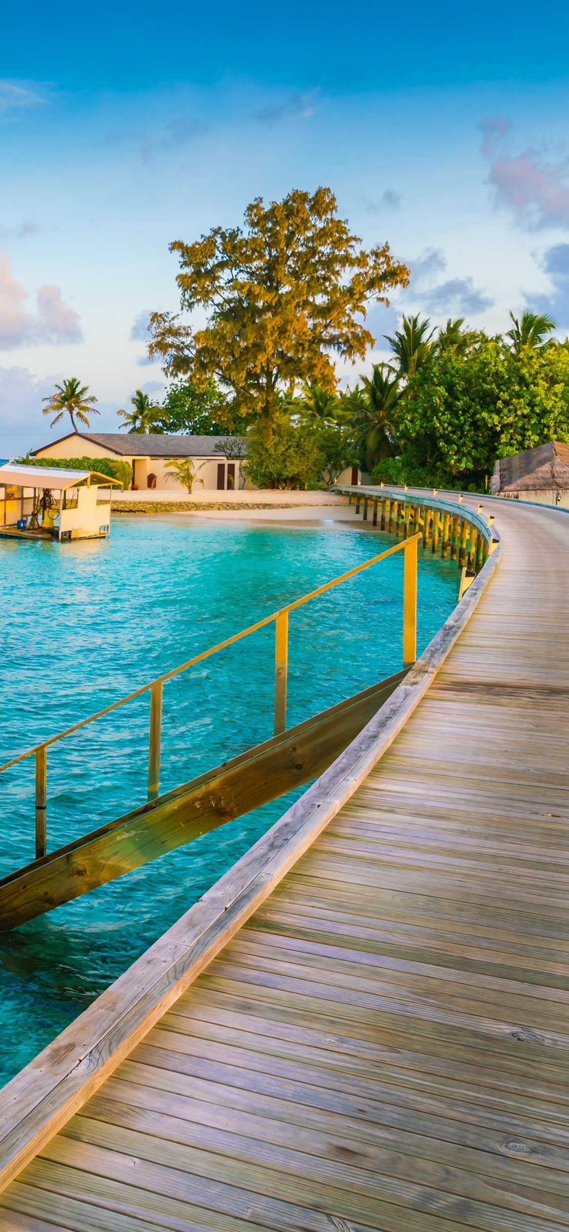 Tropical, Paradise, Palm Trees, Resort, Sea 1125x2436 IPhone 11 Pro XS X Wallpaper, Background, Picture, Image