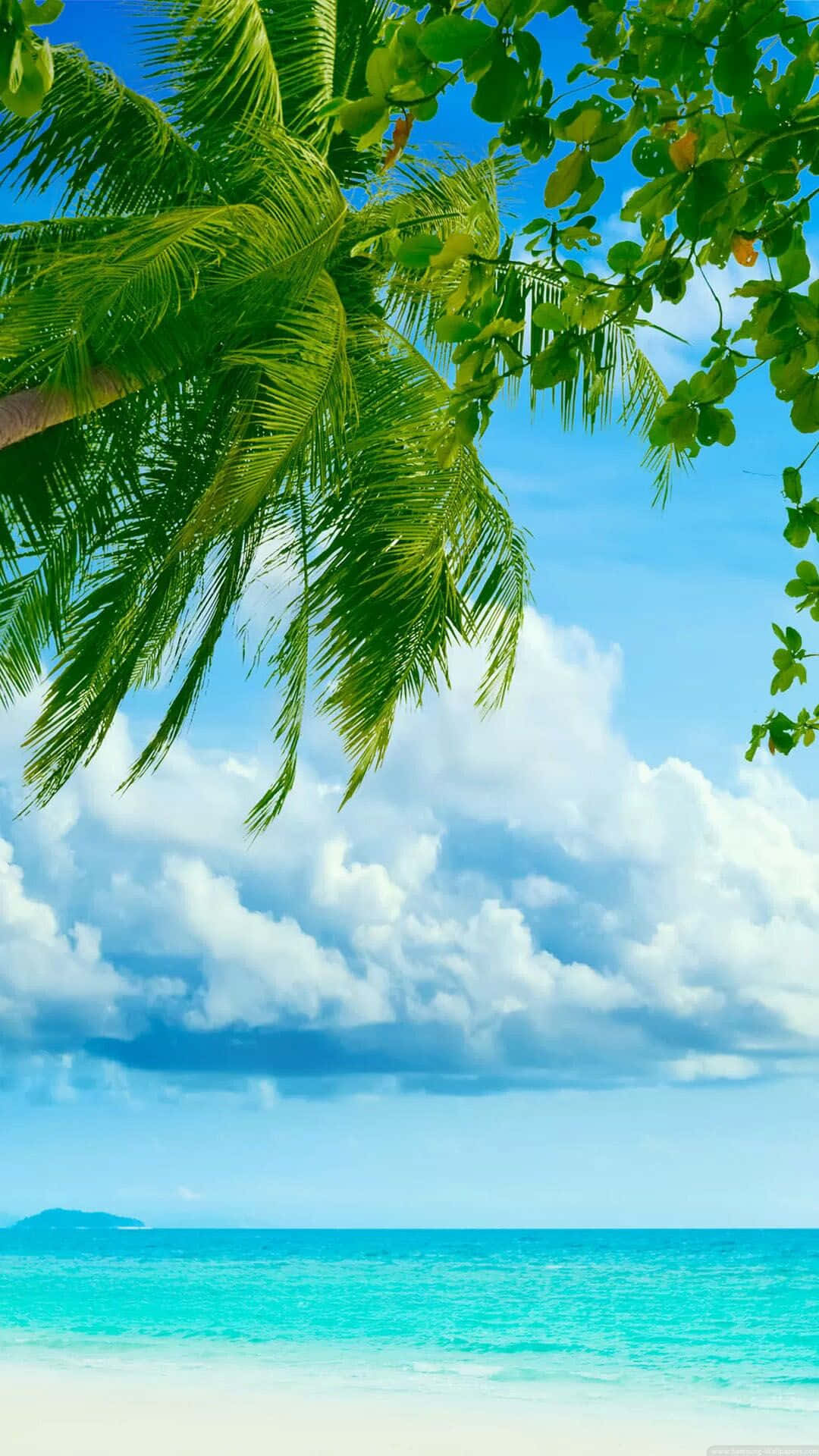 Download Beach Paradise Tropical iPhone Display Wallpaper