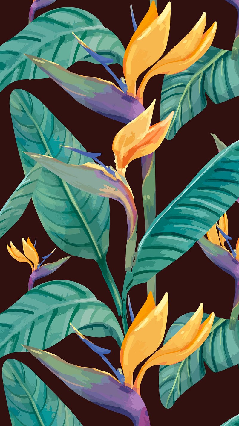Watercolor Birds Of Paradise Image Wallpaper