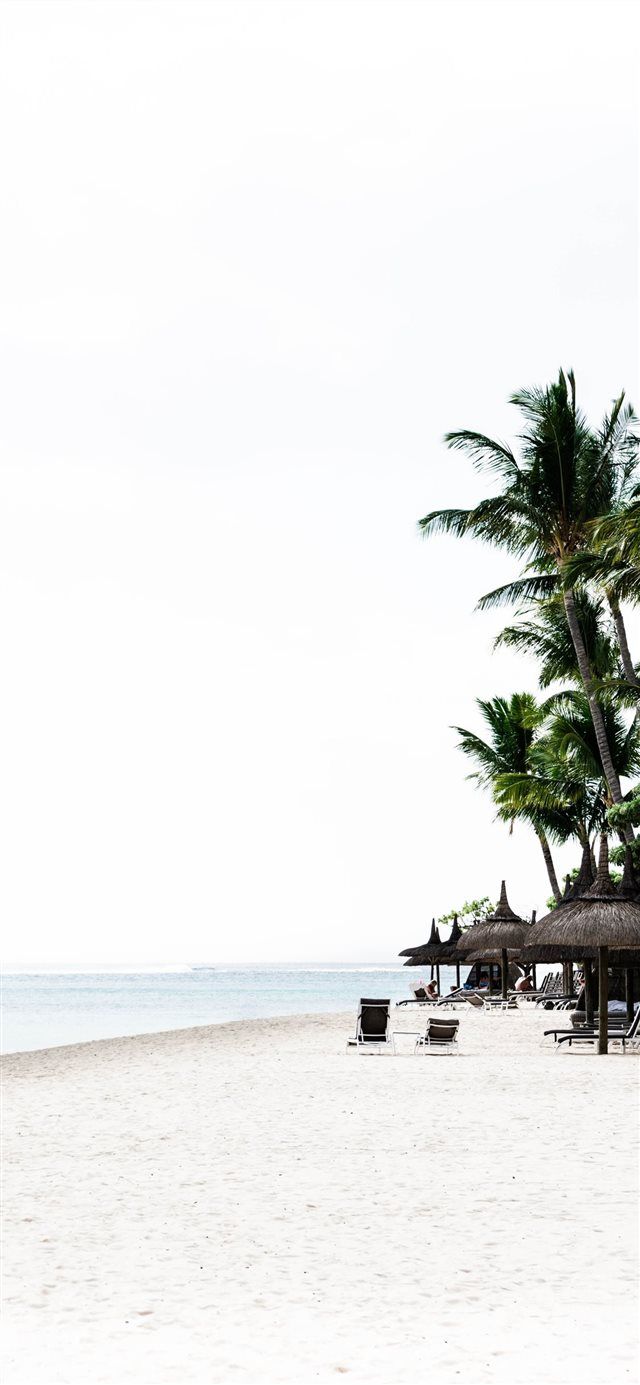 Peaceful Paradise iPhone X wallpaper. iPhone wallpaper tropical, iPhone wallpaper vintage, Wallpaper