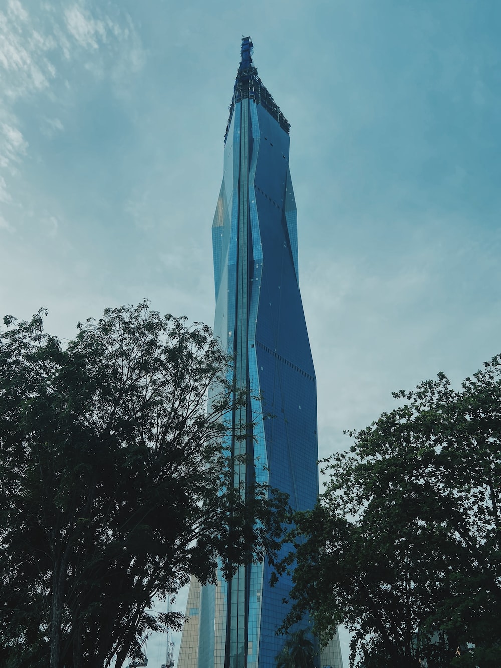 A very tall building towering over a forest of trees photo