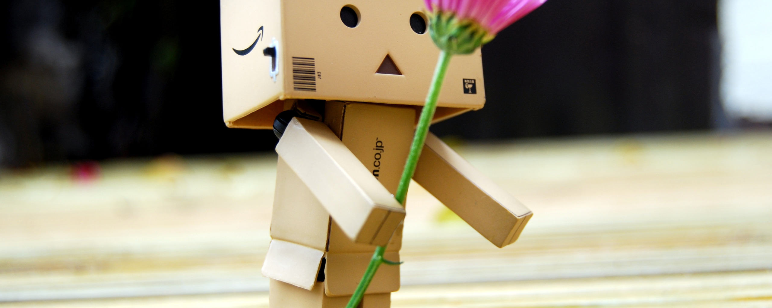 Download wallpaper flower, gift, robot, danbo, Danboard, box, toy, flower, section mood in resolution 2560x1024