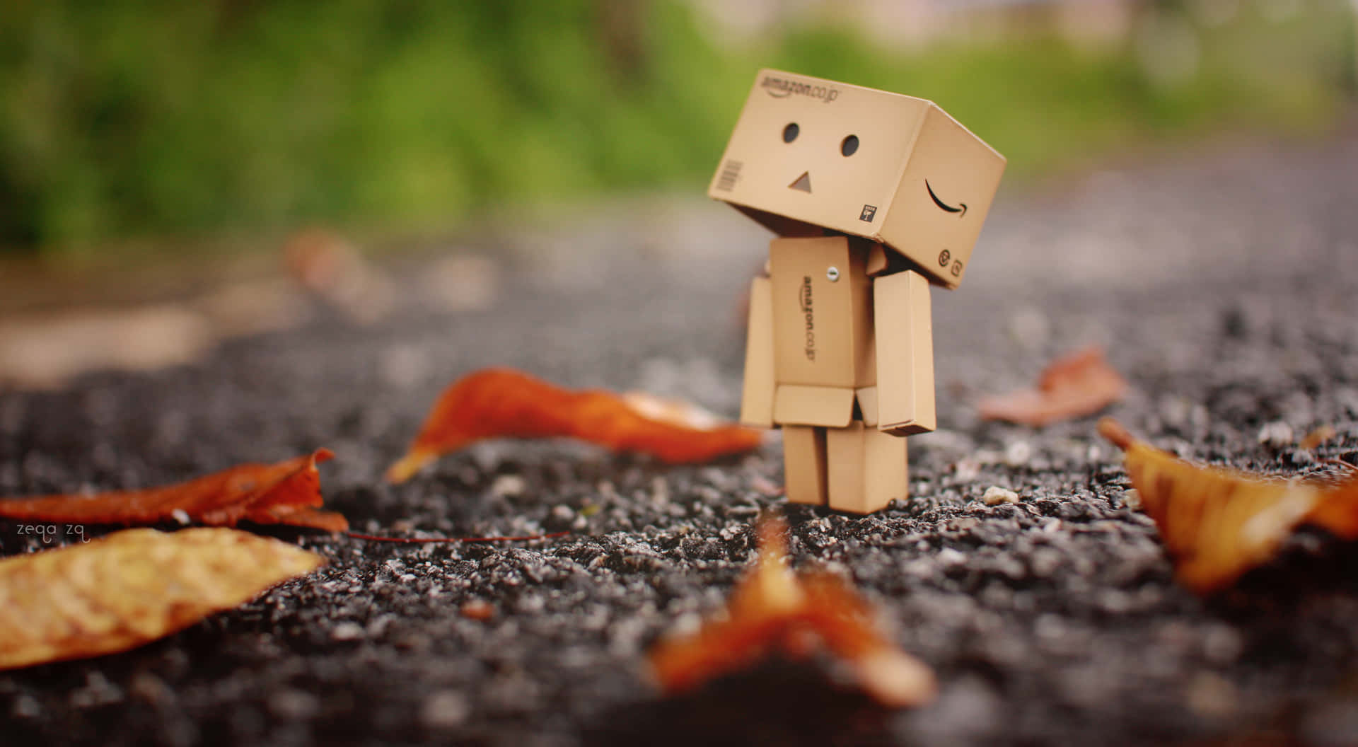 Danbo Anime Widescreen HD wallpaper | cute | Wallpaper Better