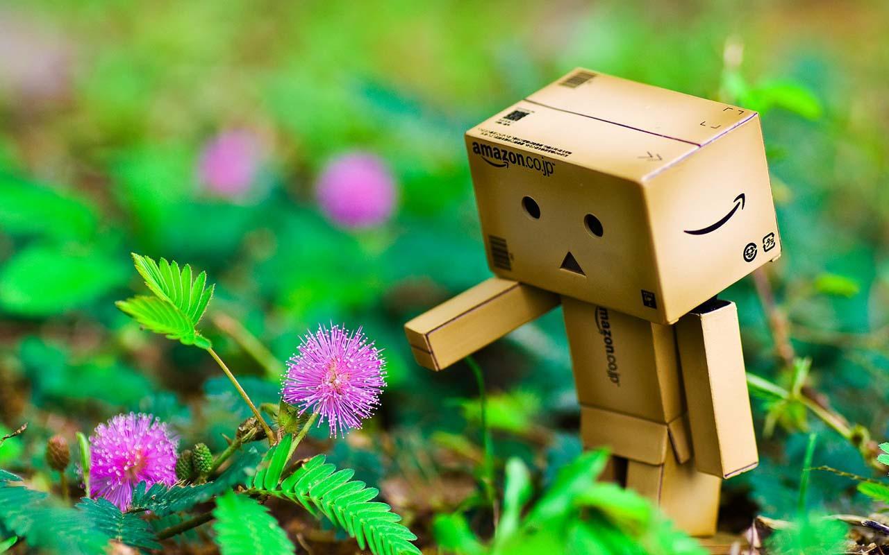Danboard Wallpaper APK voor Android Download