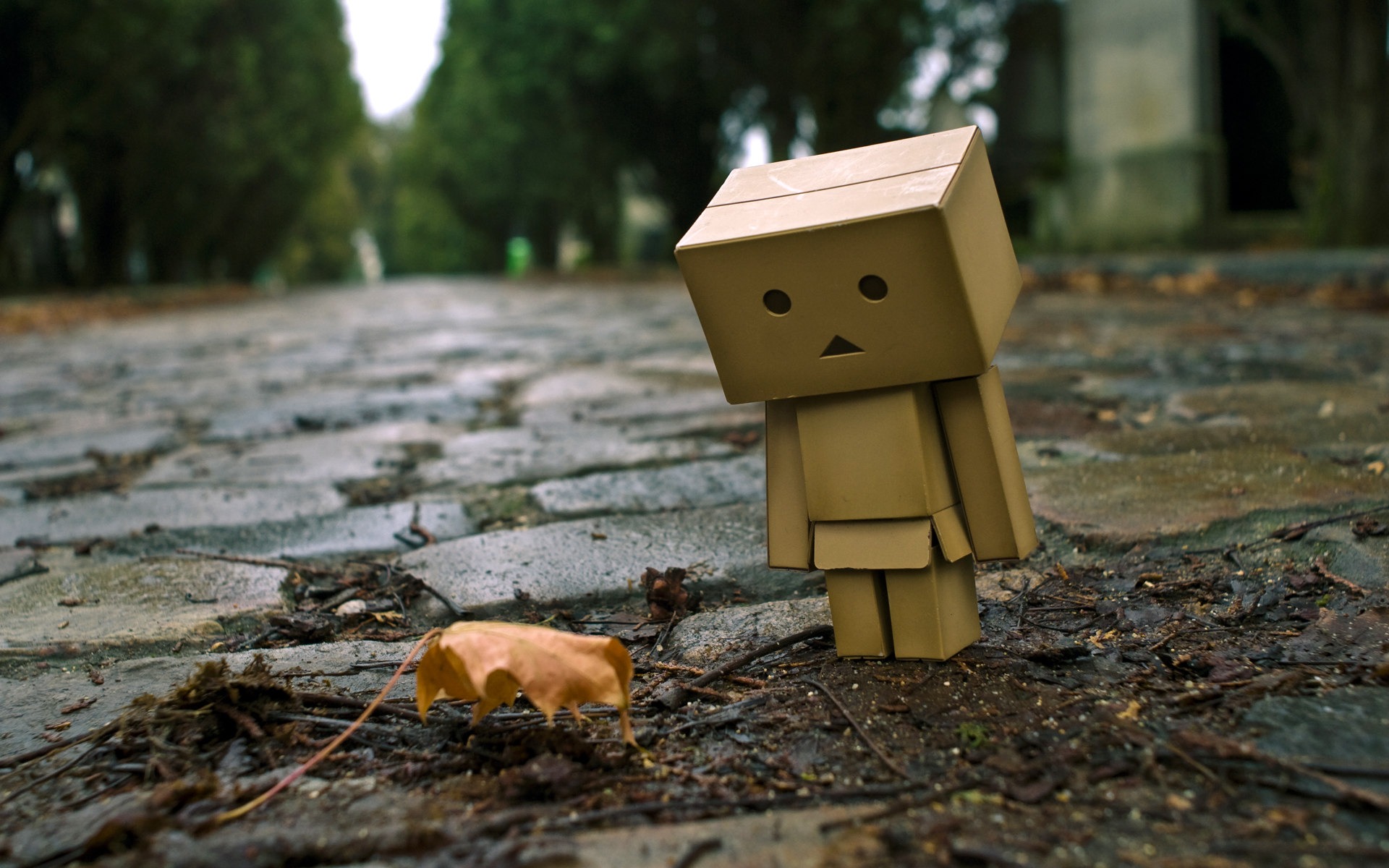 Danbo in Park Danboard Wallpaper 01