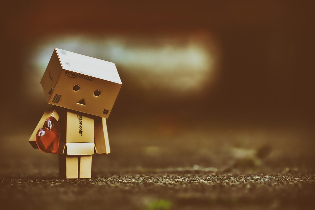 Free Danboard & Danbo Image