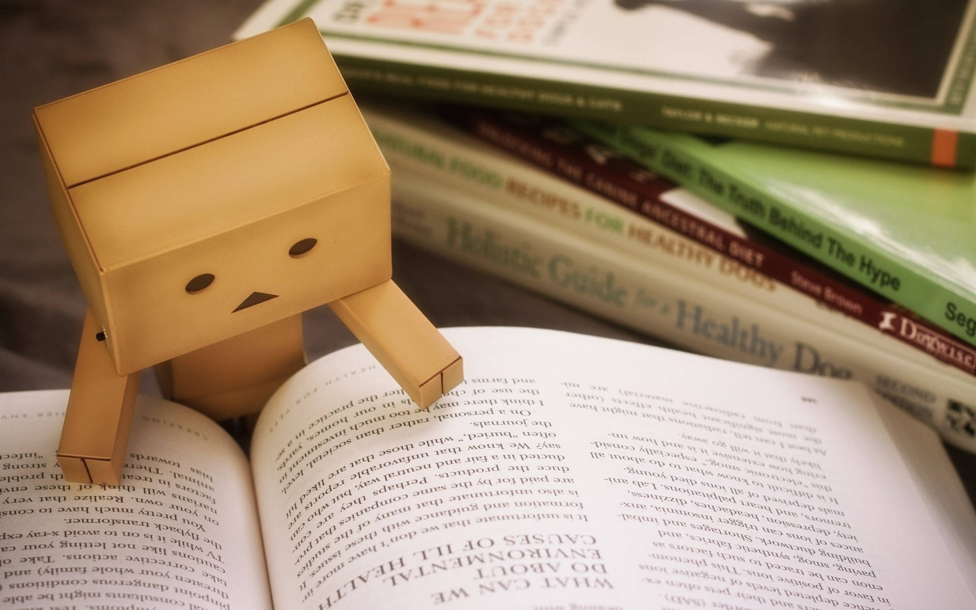 Download Danboard Reading a Book Wallpaper