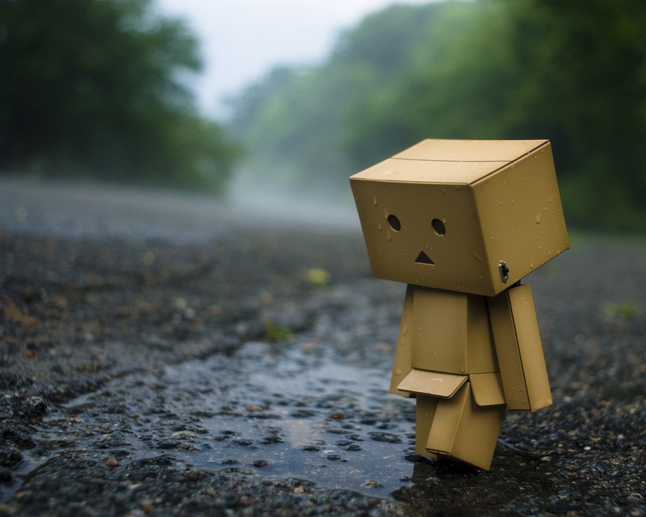 Danbo, carton box, outdoorsx1024 Wallpaper