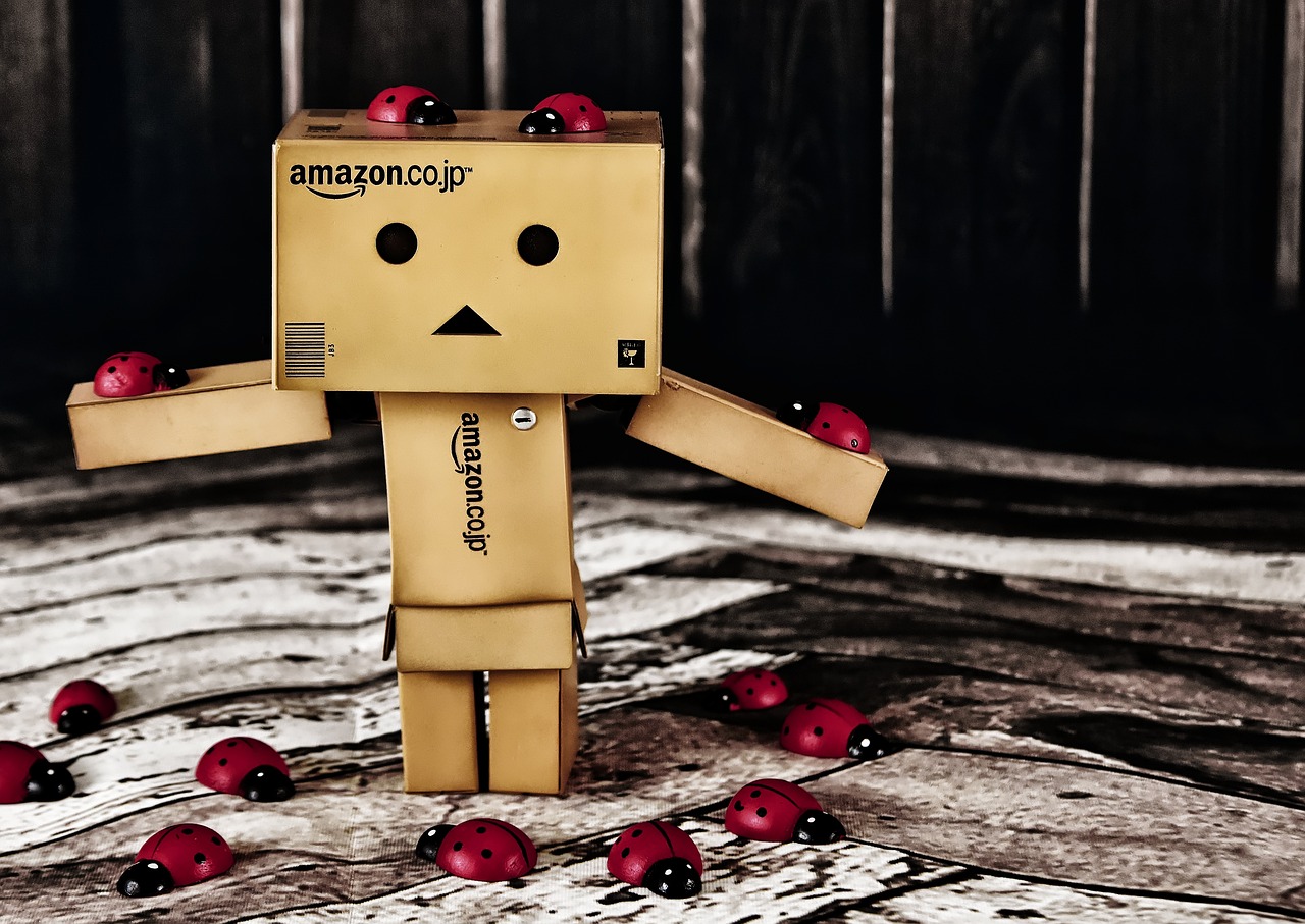 Danbo Figure Danboard