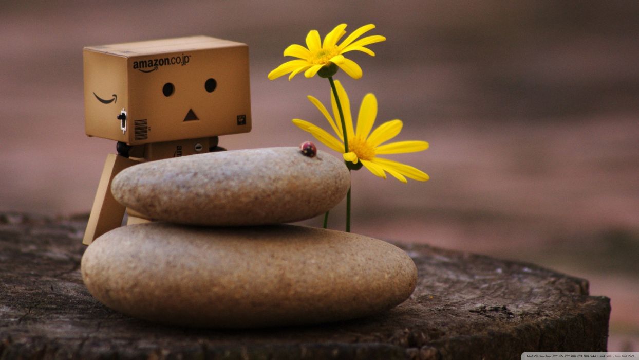 Cartoons flowers zen Danboard pebbles wallpaperx1080