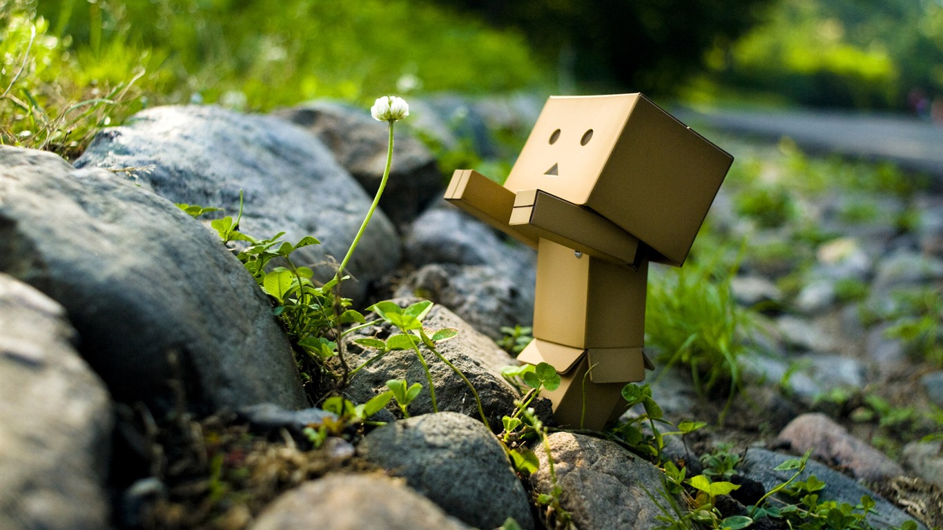 Danbo in Park Danboard Wallpaper 12
