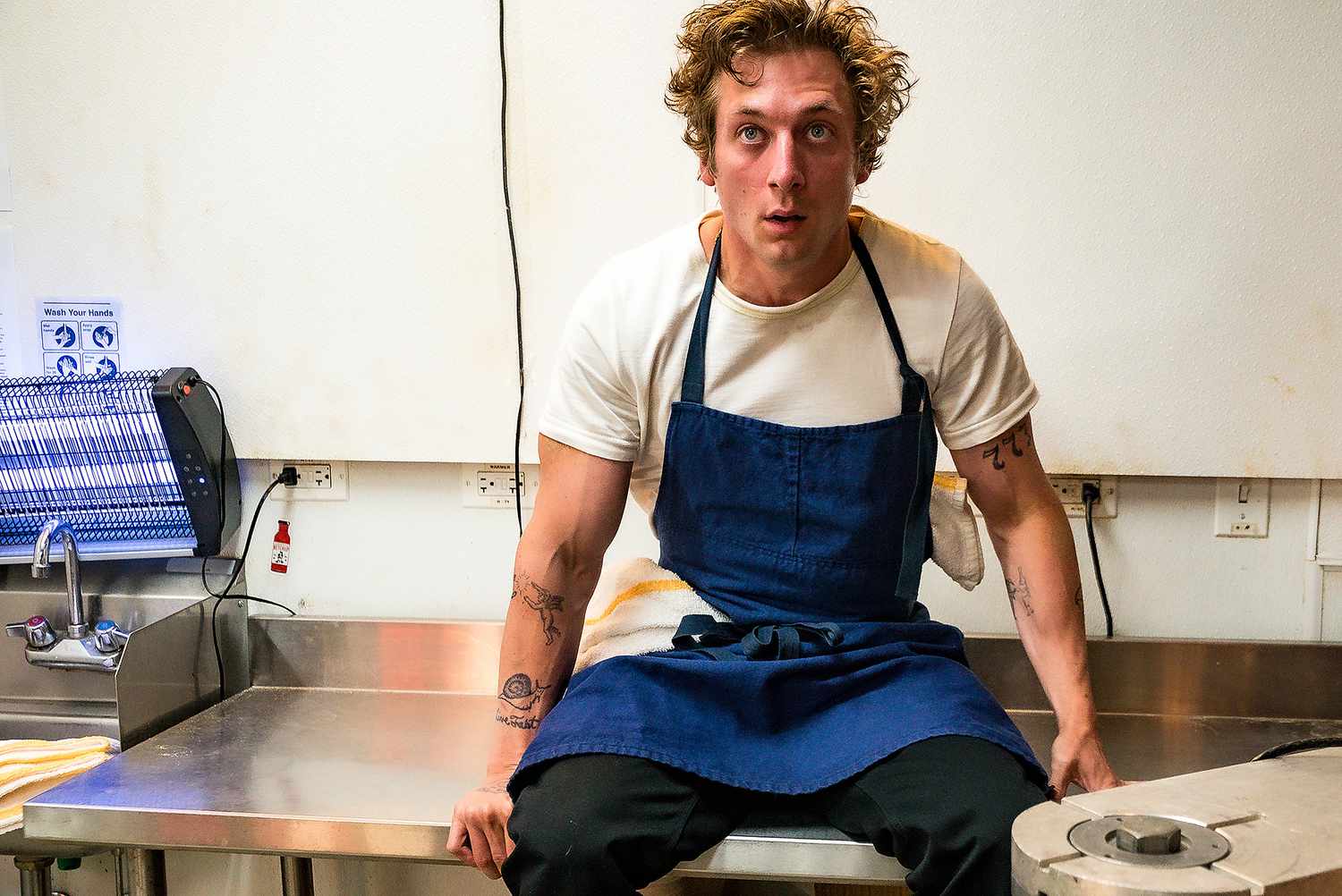 Sizzling Snaps of Jeremy Allen White as Chef Carmy in The Bear