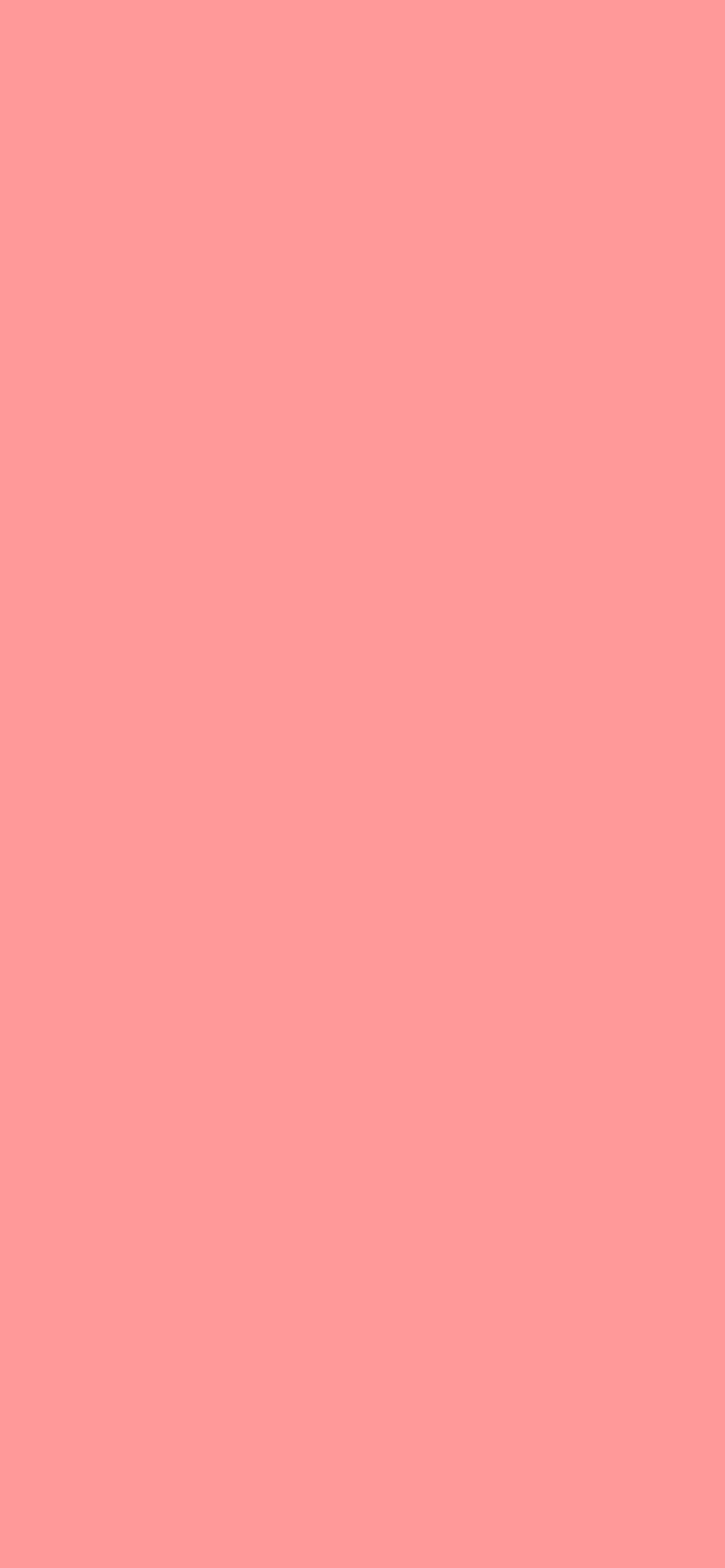 Light Salmon Pink color - #FF9999 Official Register of Color Names