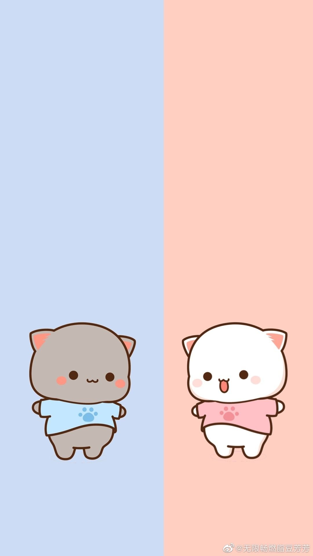 Mochi cat Wallpaper Download