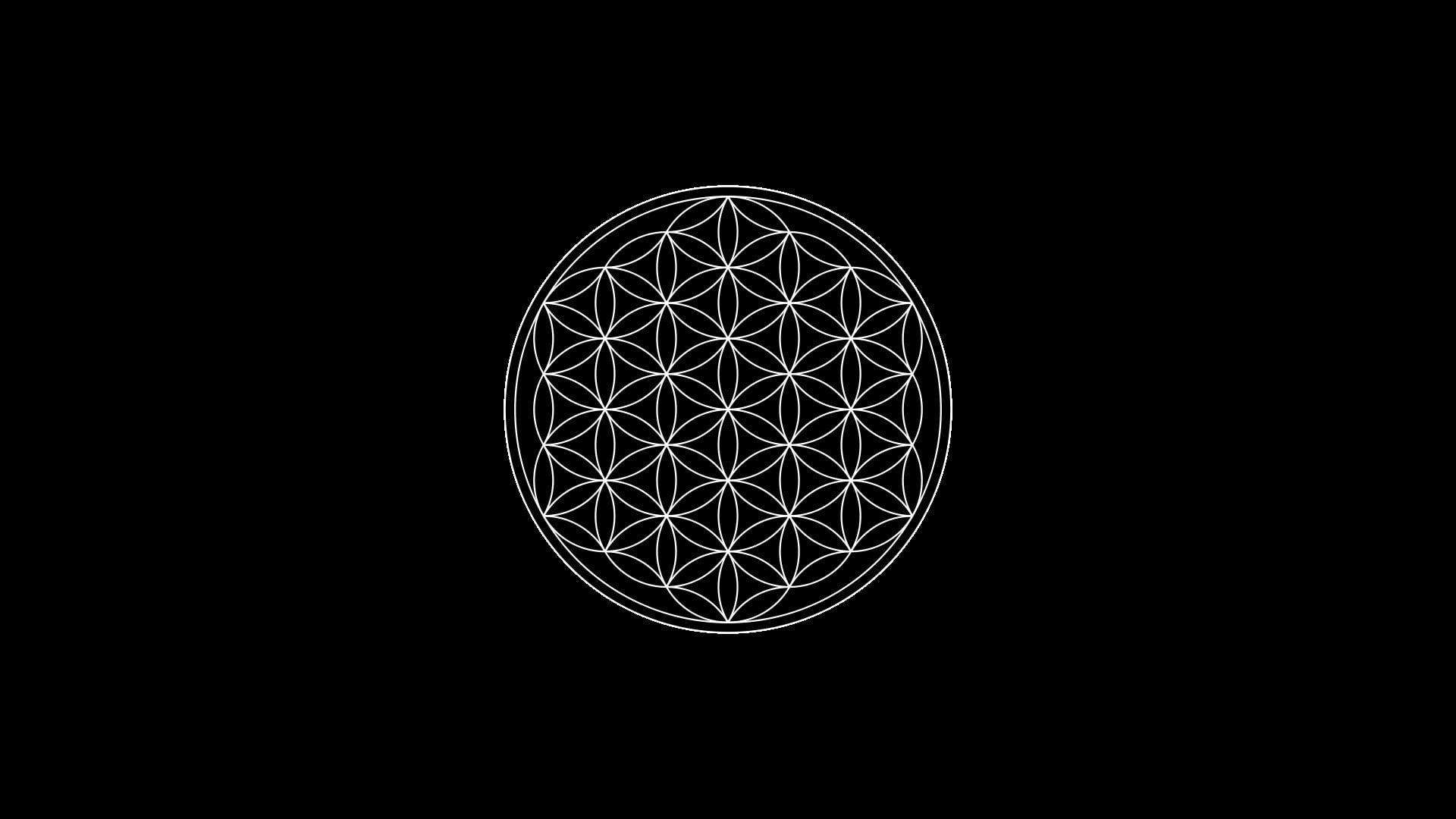 black background #circle Flower Of Life #minimalism Sacred Geometry #symbols P #wallpa. Sacred geometry wallpaper, Geometric wallpaper iphone, Flower of life