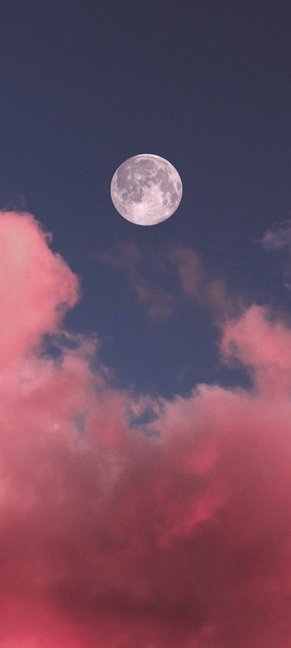 Pink Sky Moon