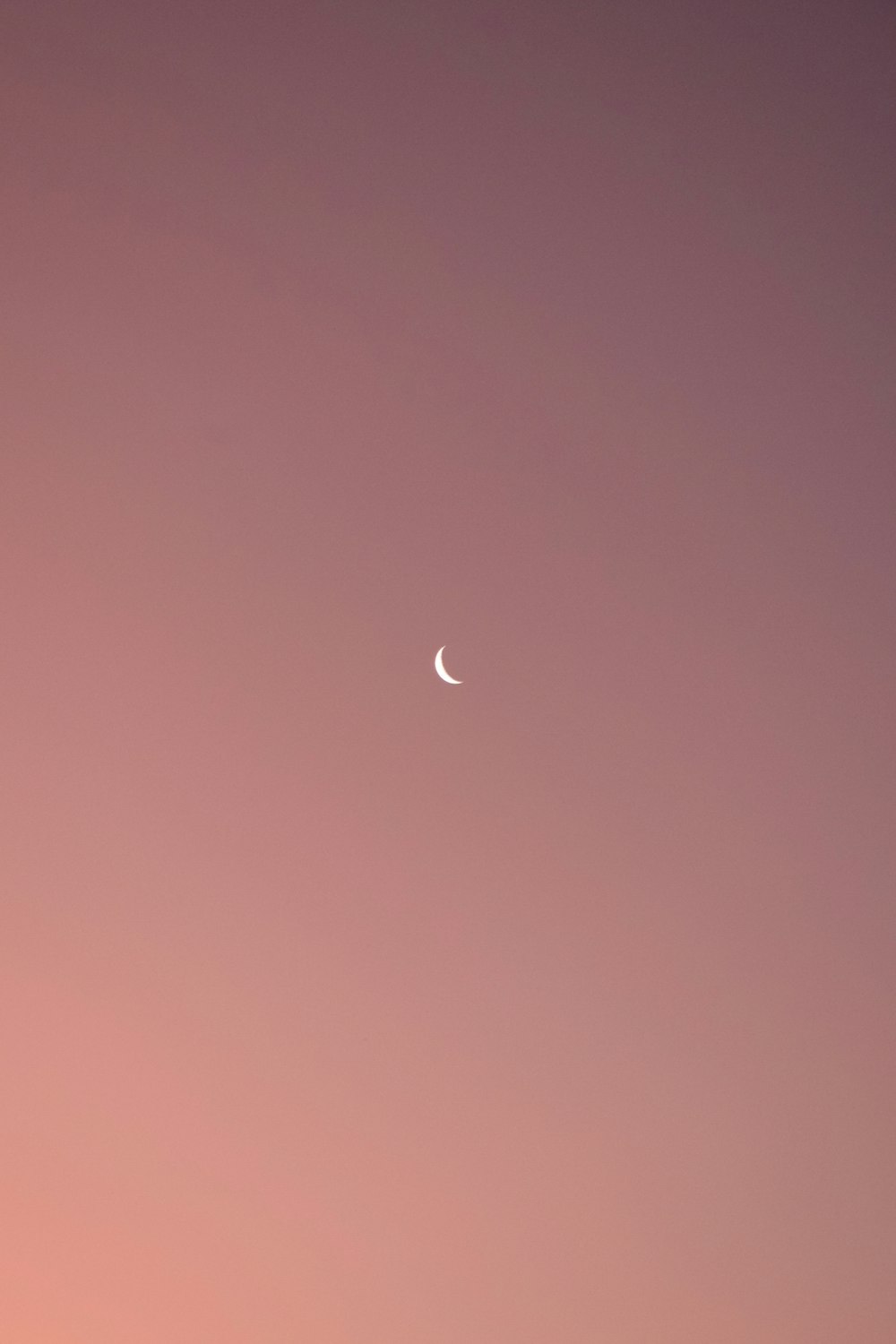 A crescent moon in a pink sky photo